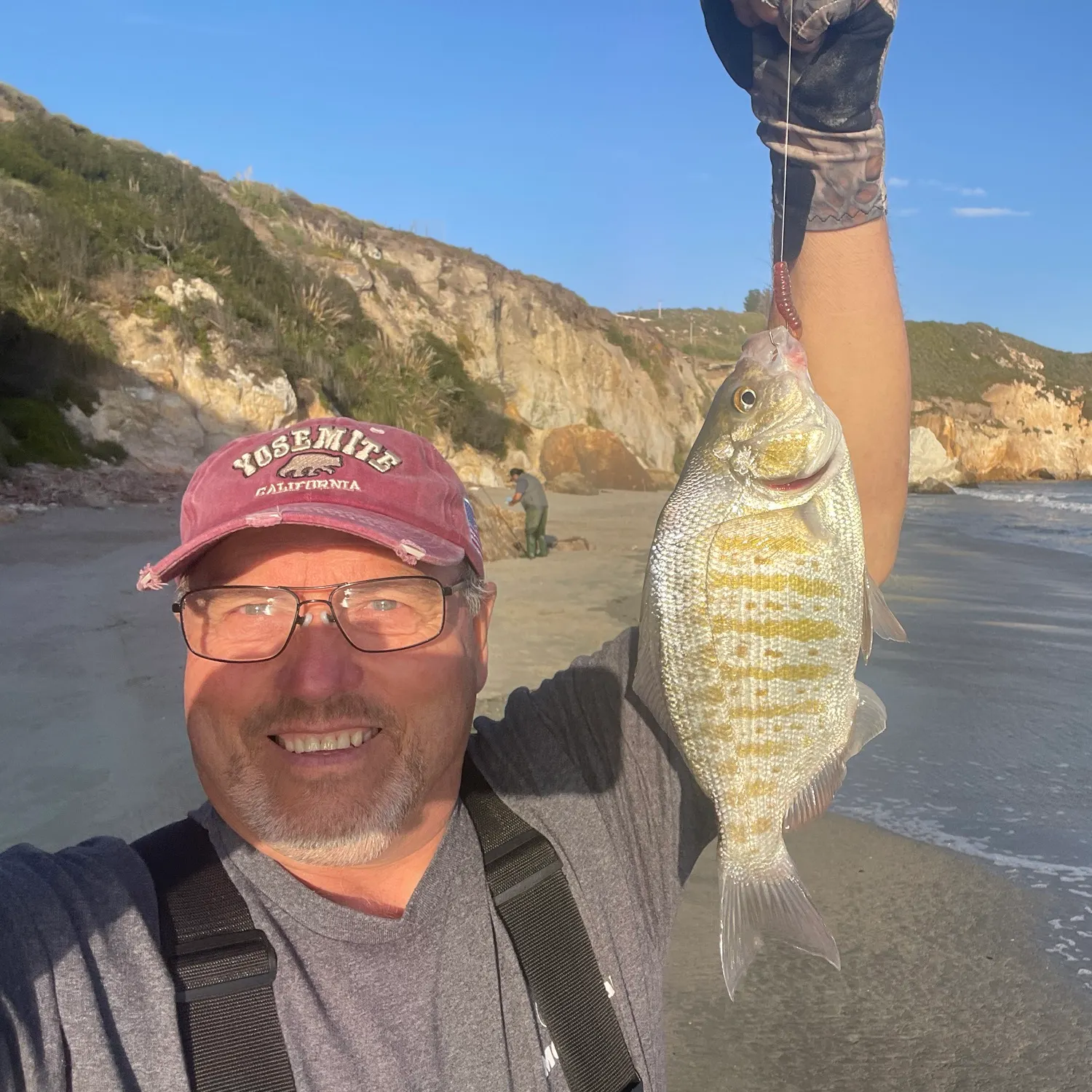The most recent Barred surfperch catches on Fishbrain