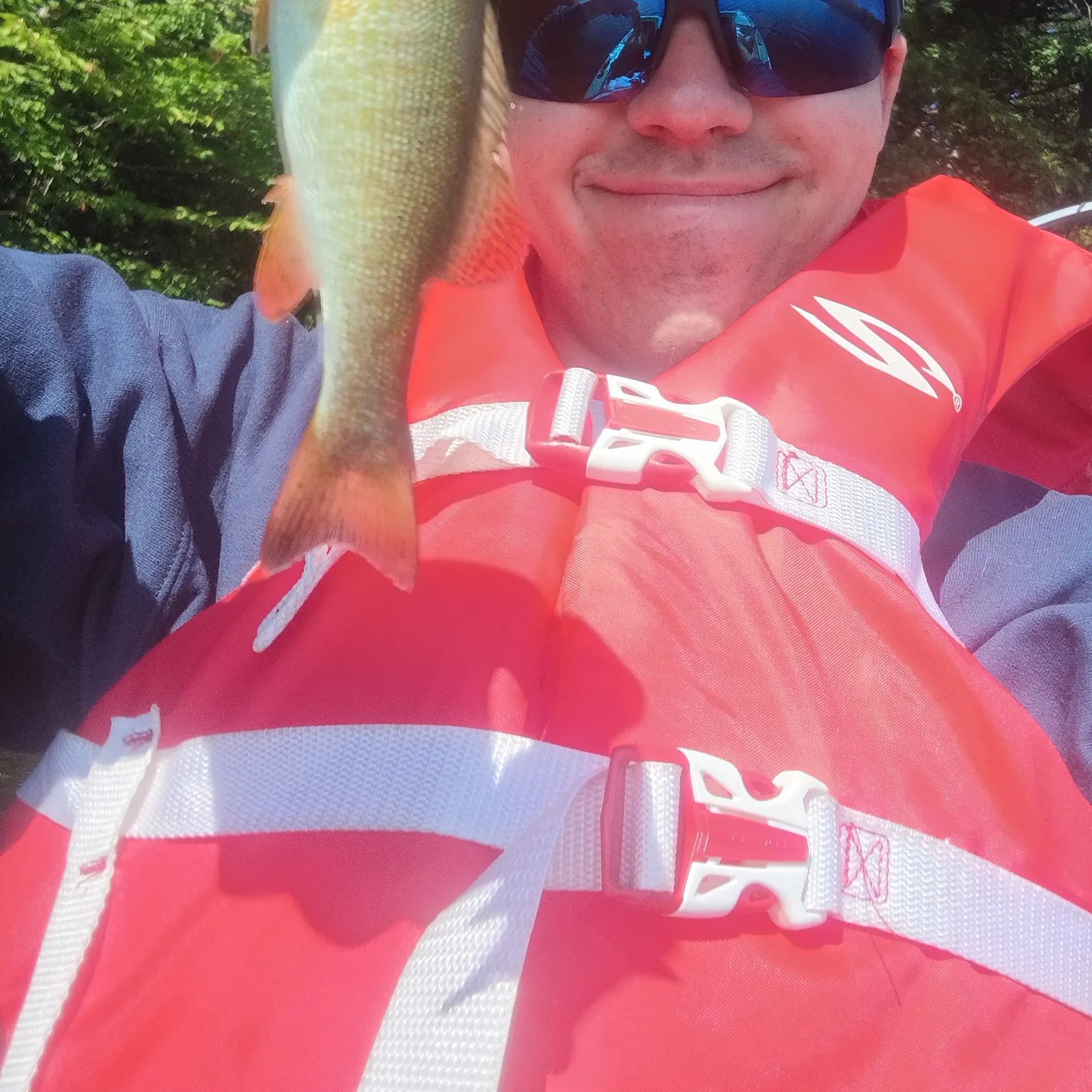 Smallmouth bass caught on Fishbrain