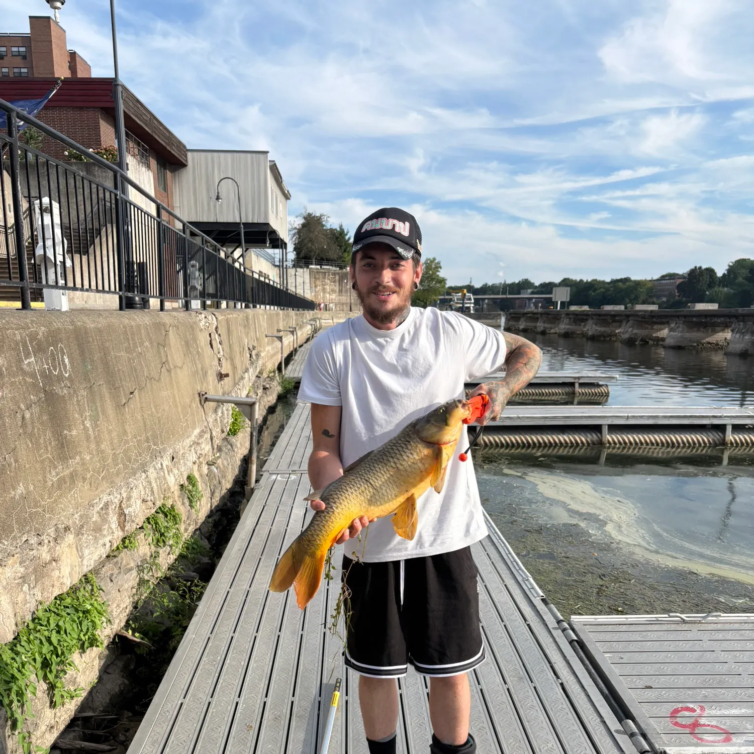 Common carp caught on Fishbrain