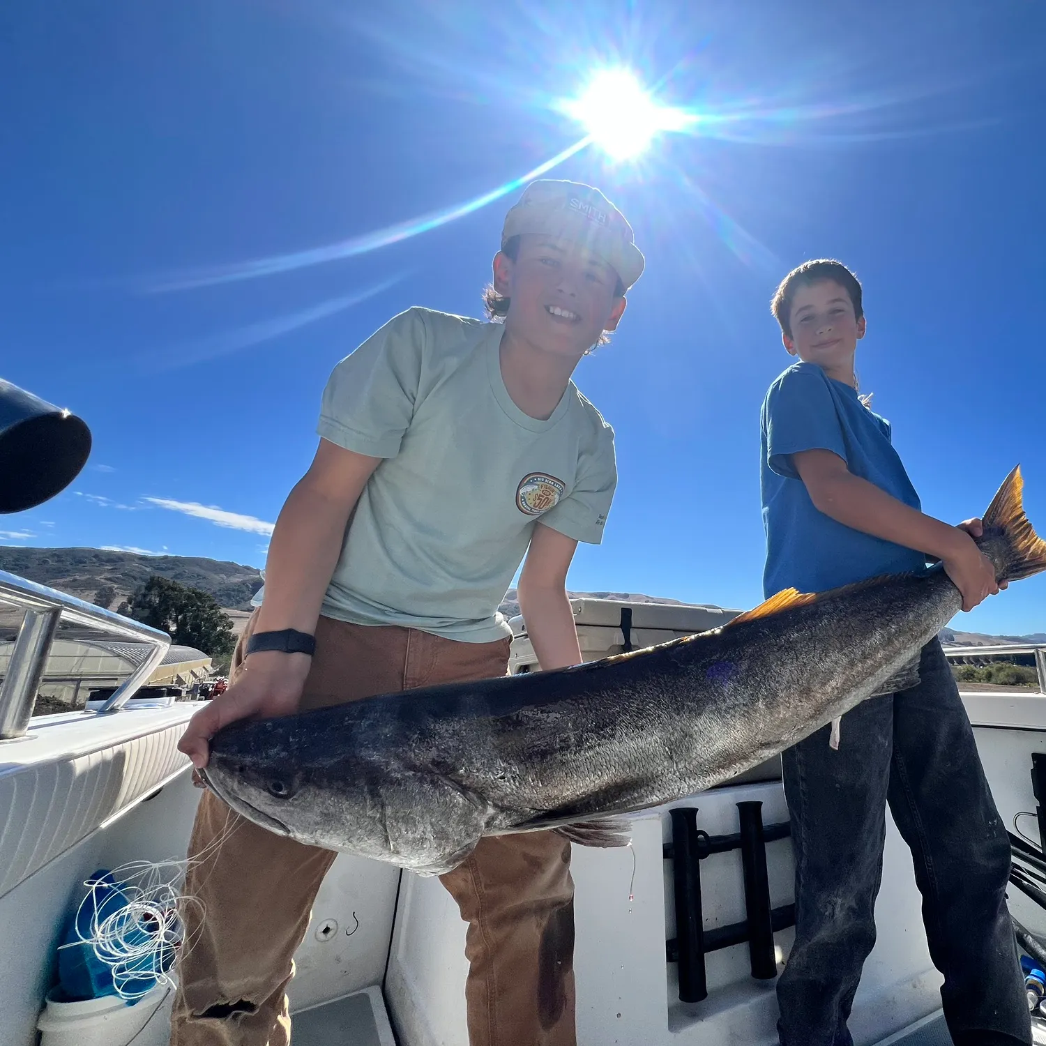 White seabass caught on Fishbrain