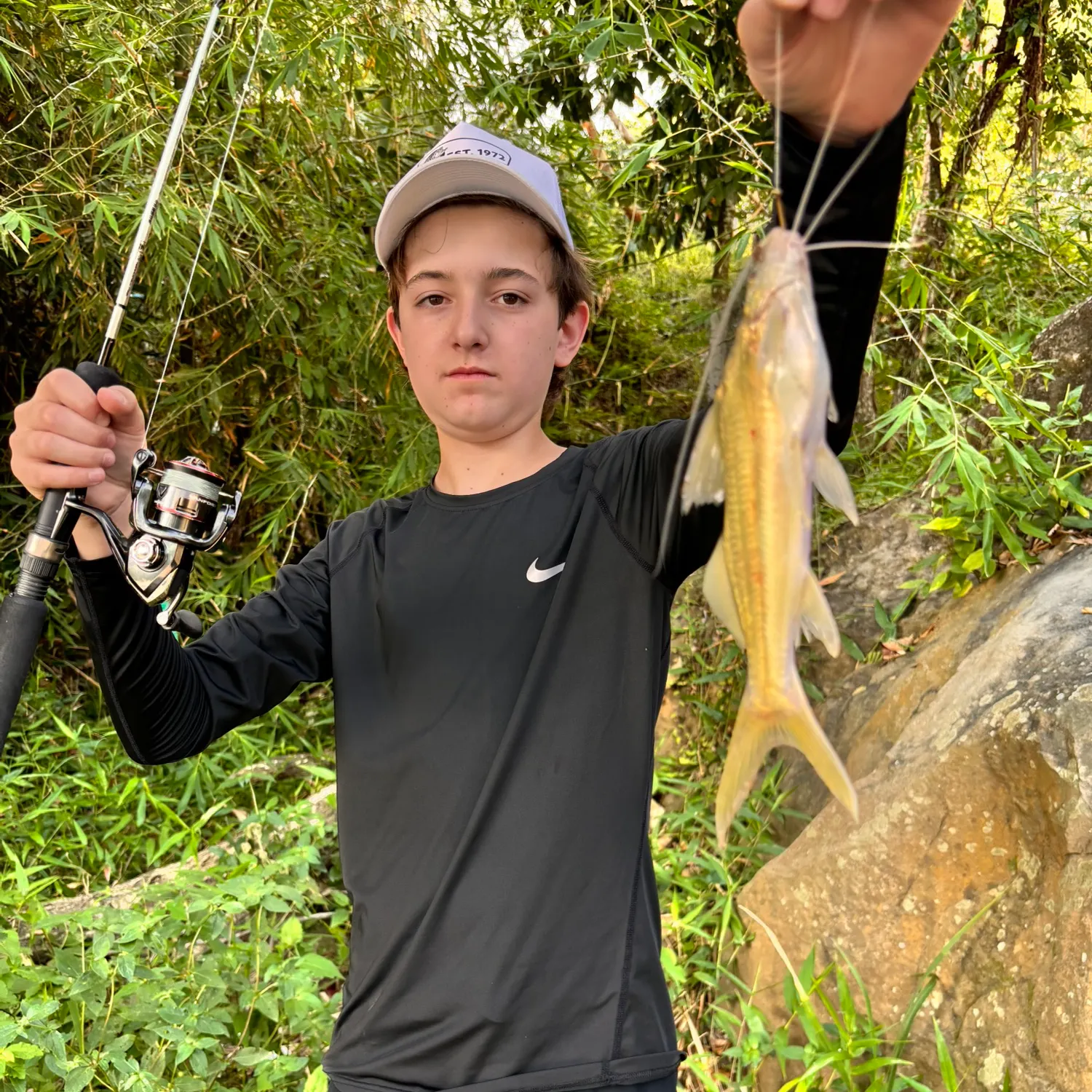 The most recent Barbado catfish catches on Fishbrain