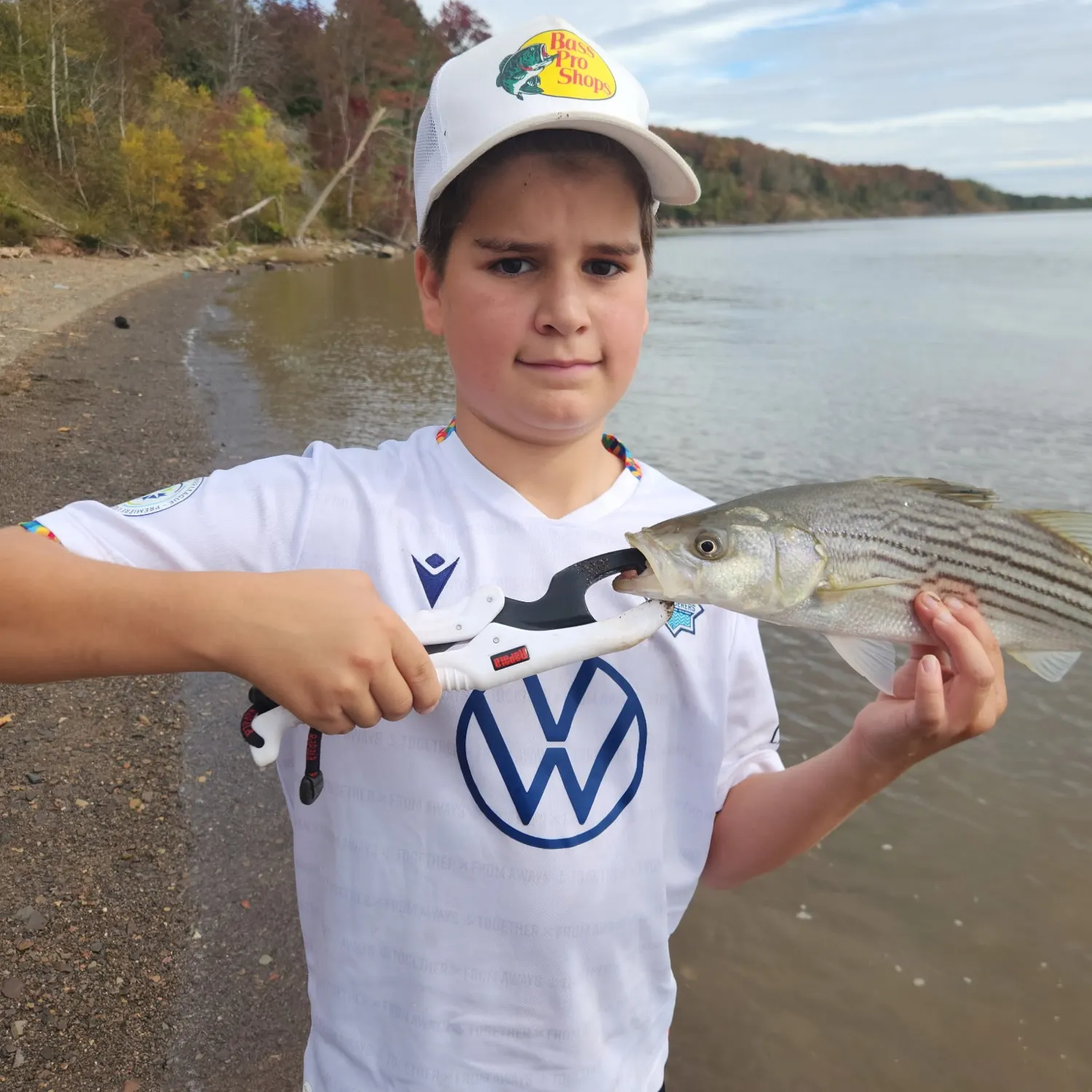 Striped bass caught on Fishbrain