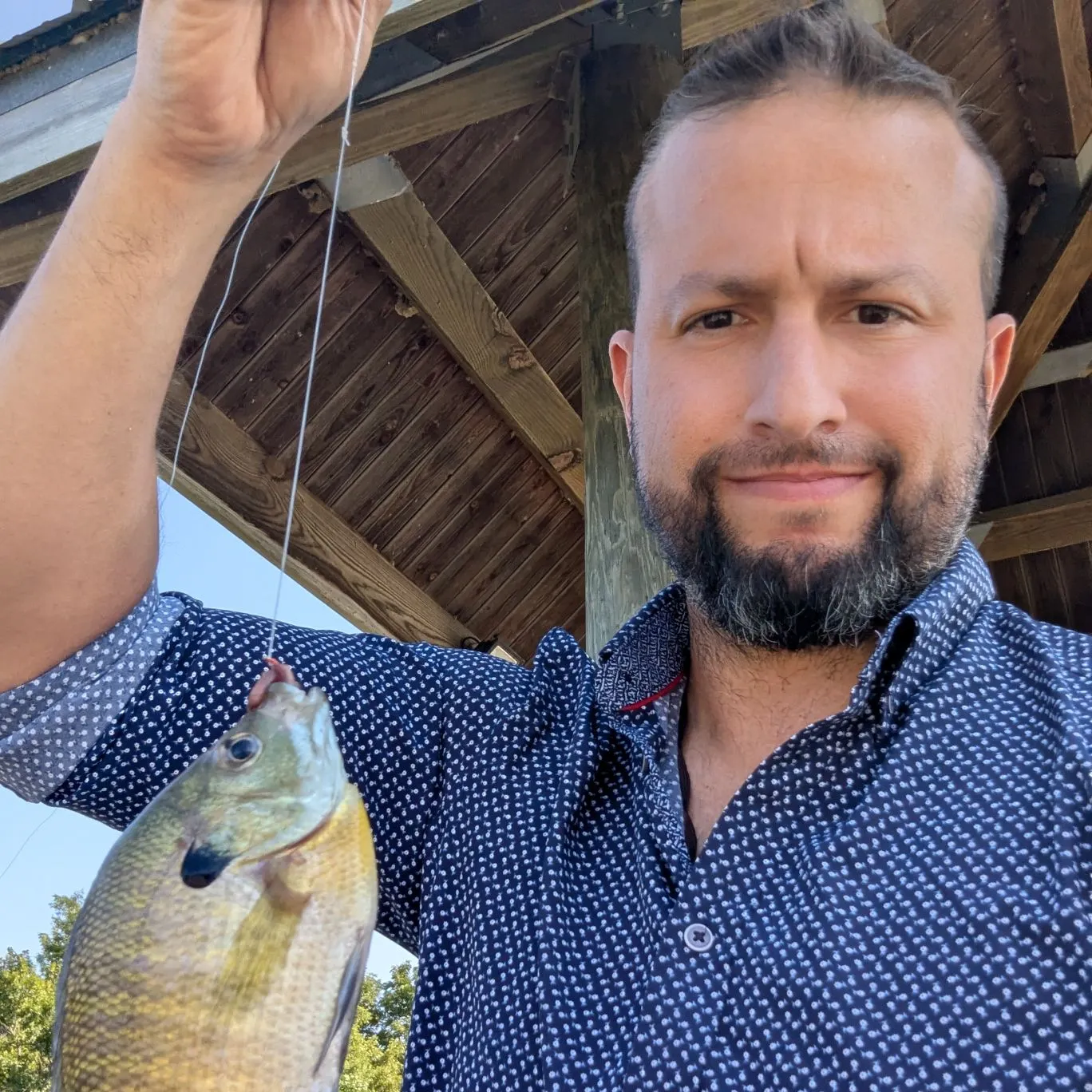 Bluegill caught on Fishbrain