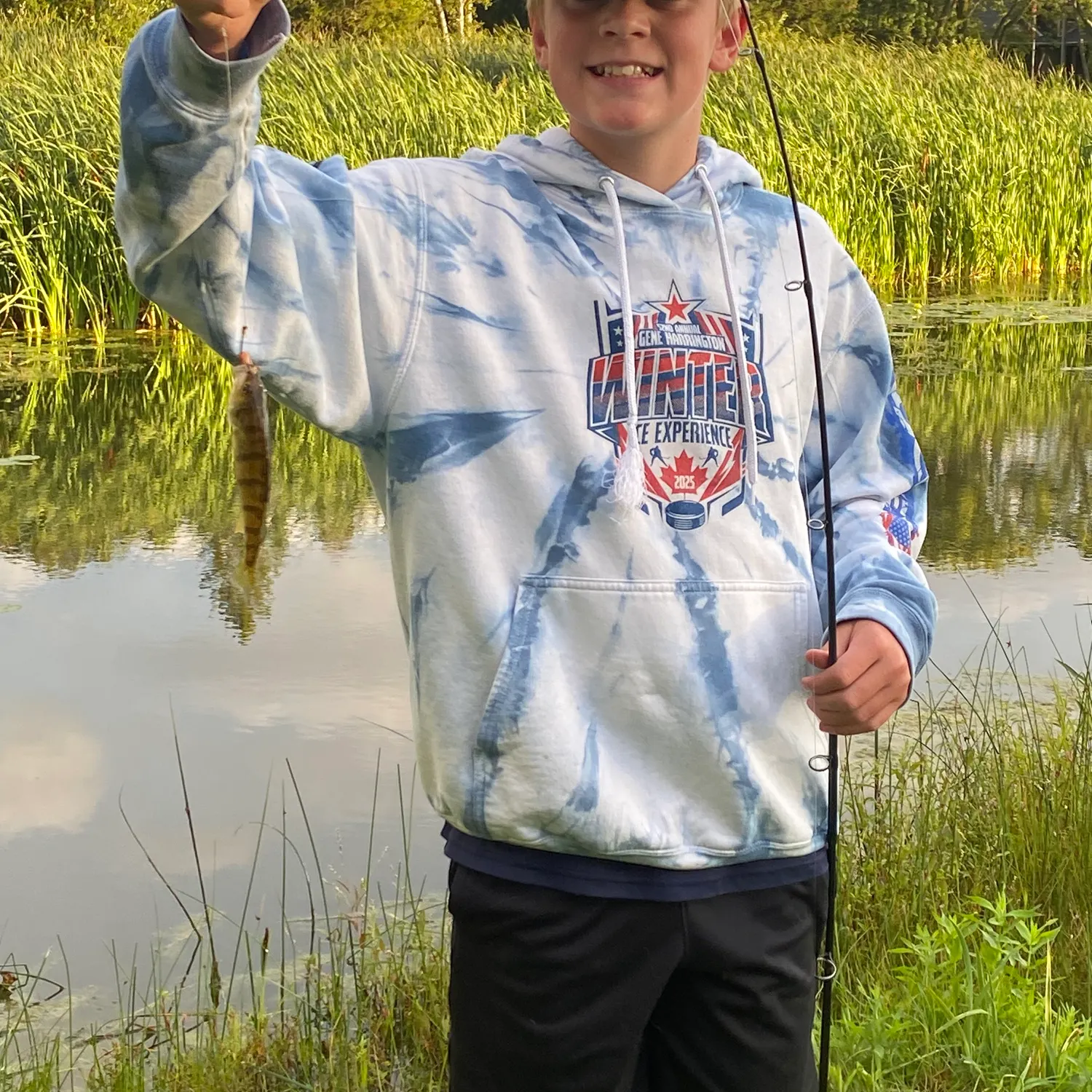 White perch caught on Fishbrain