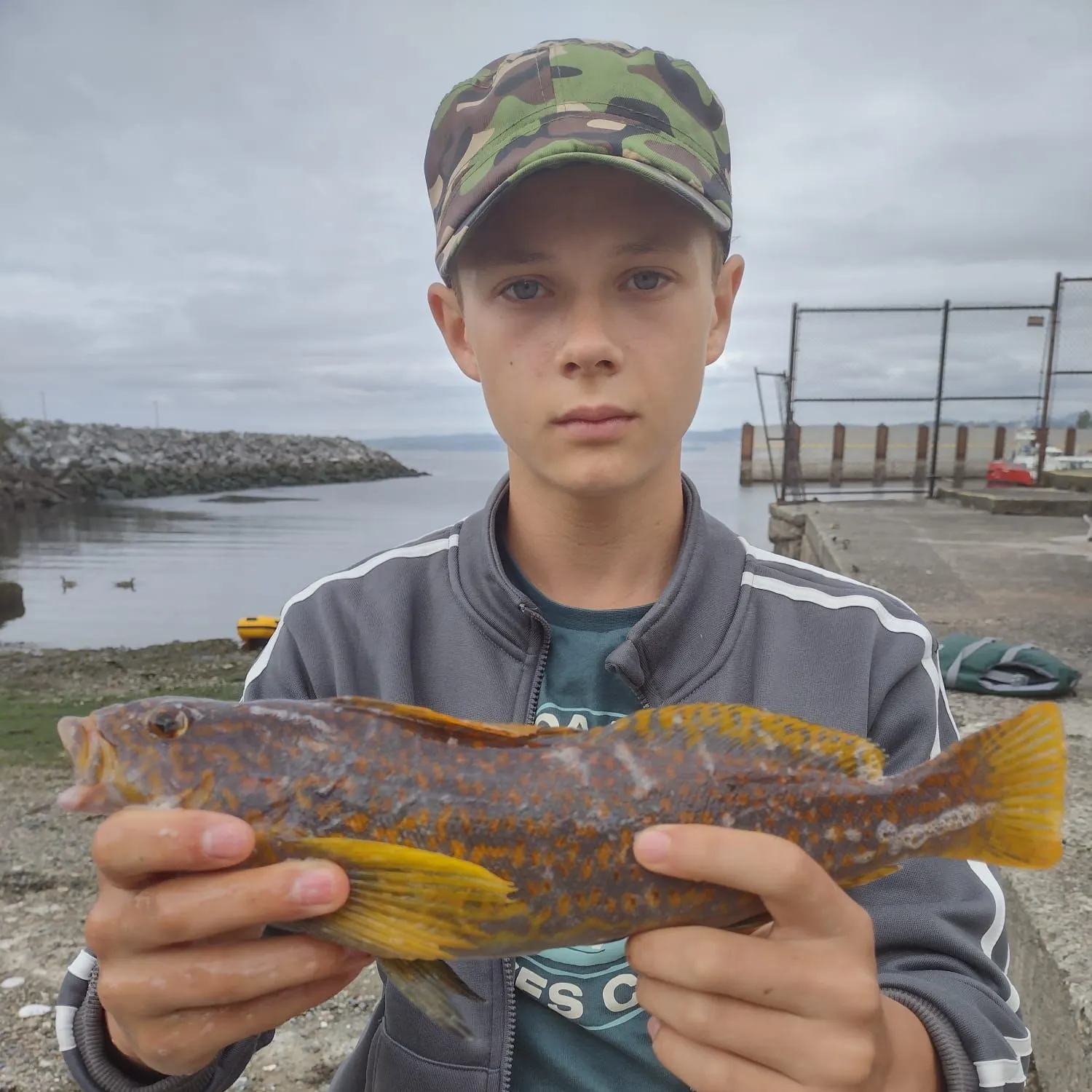 The most recent Kelp greenling catches on Fishbrain