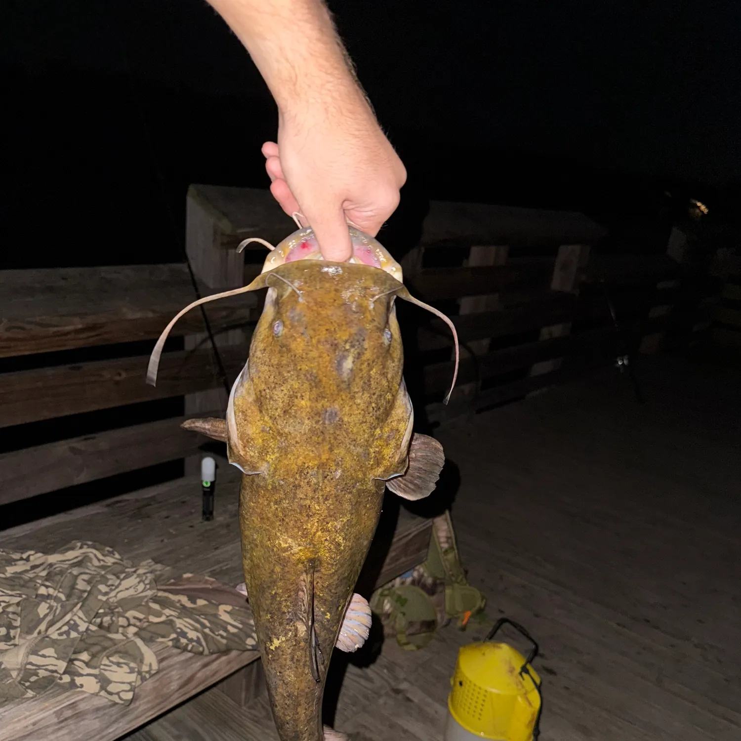 catch