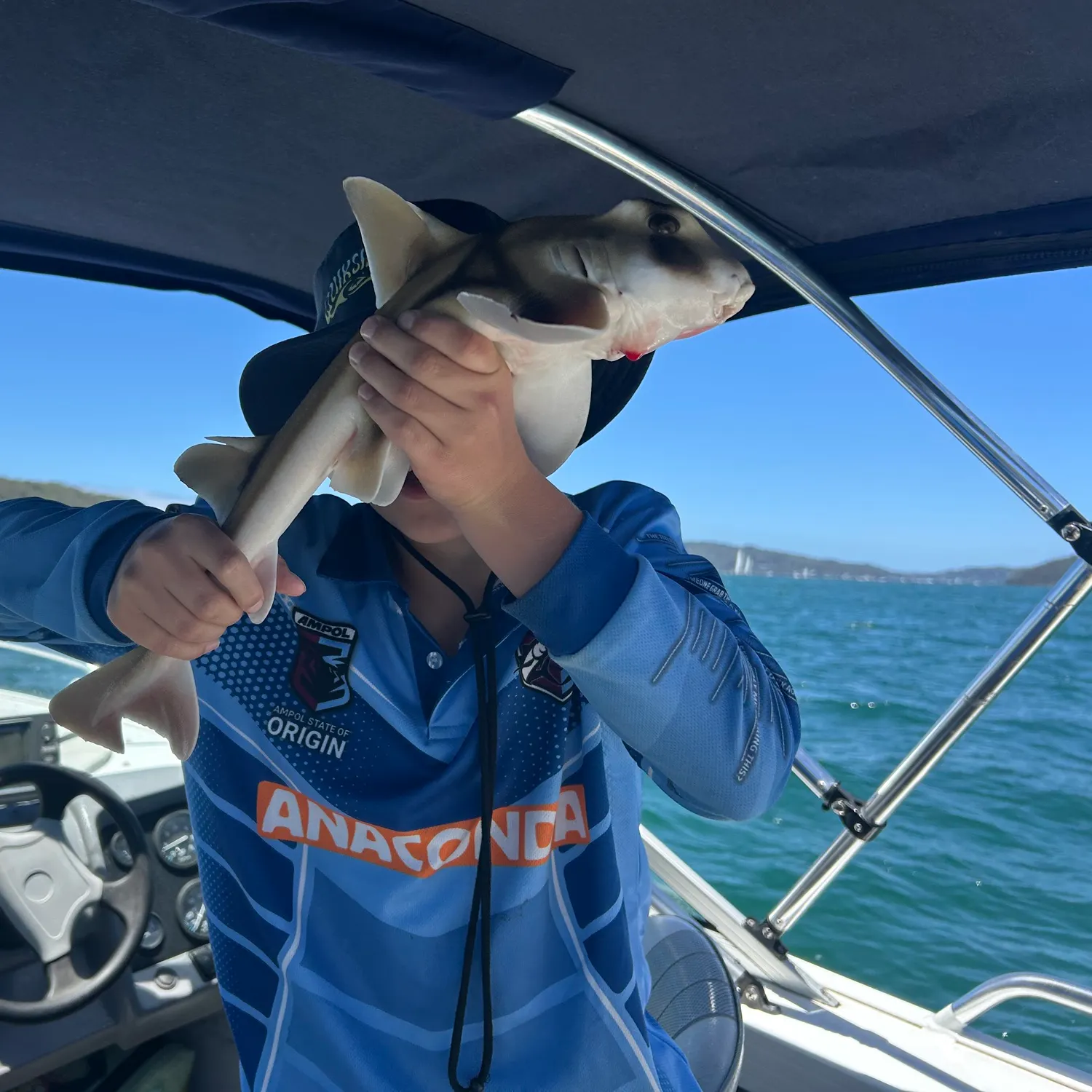 The most recent Port Jackson shark catches on Fishbrain