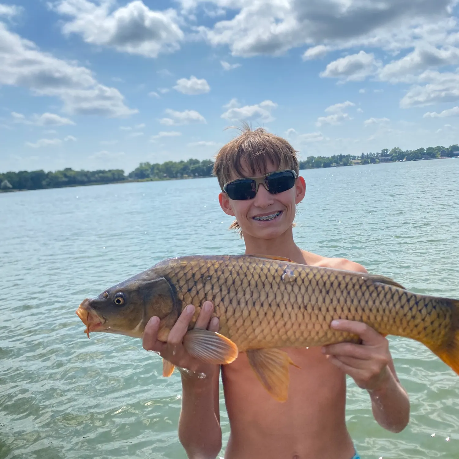 Common carp caught on Fishbrain