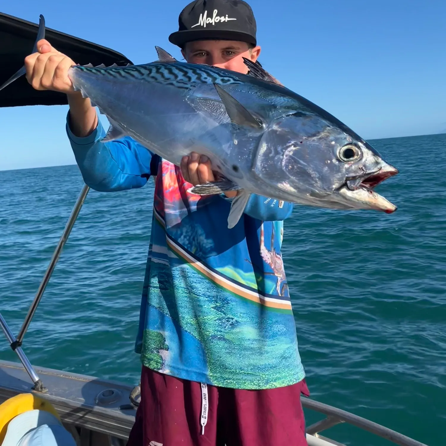 The most recent Kawakawa catches on Fishbrain