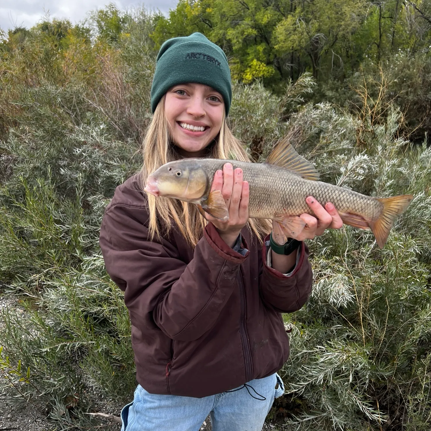 White sucker caught on Fishbrain