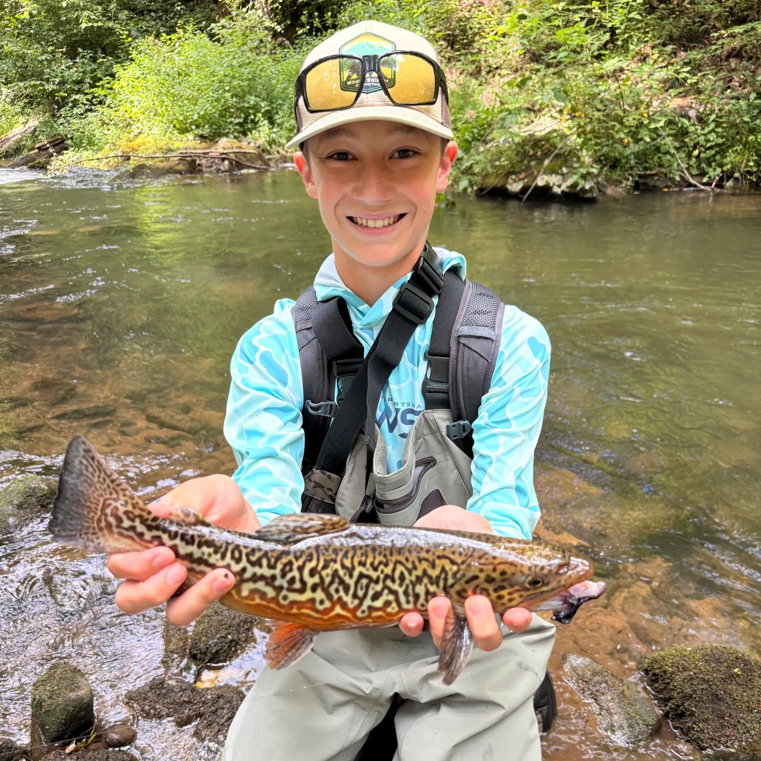 Tiger trout caught on Fishbrain