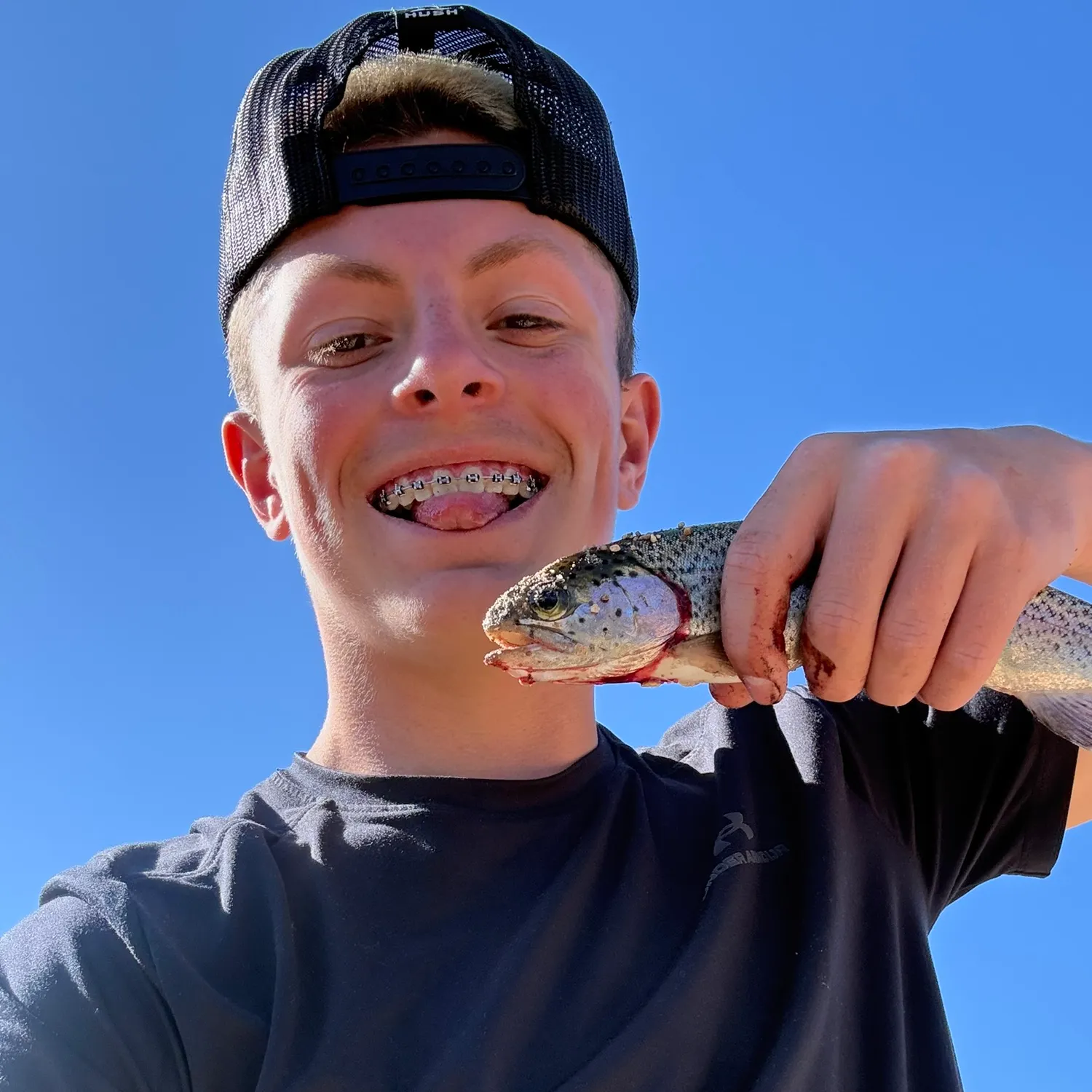 The most recent Sea trout catches on Fishbrain