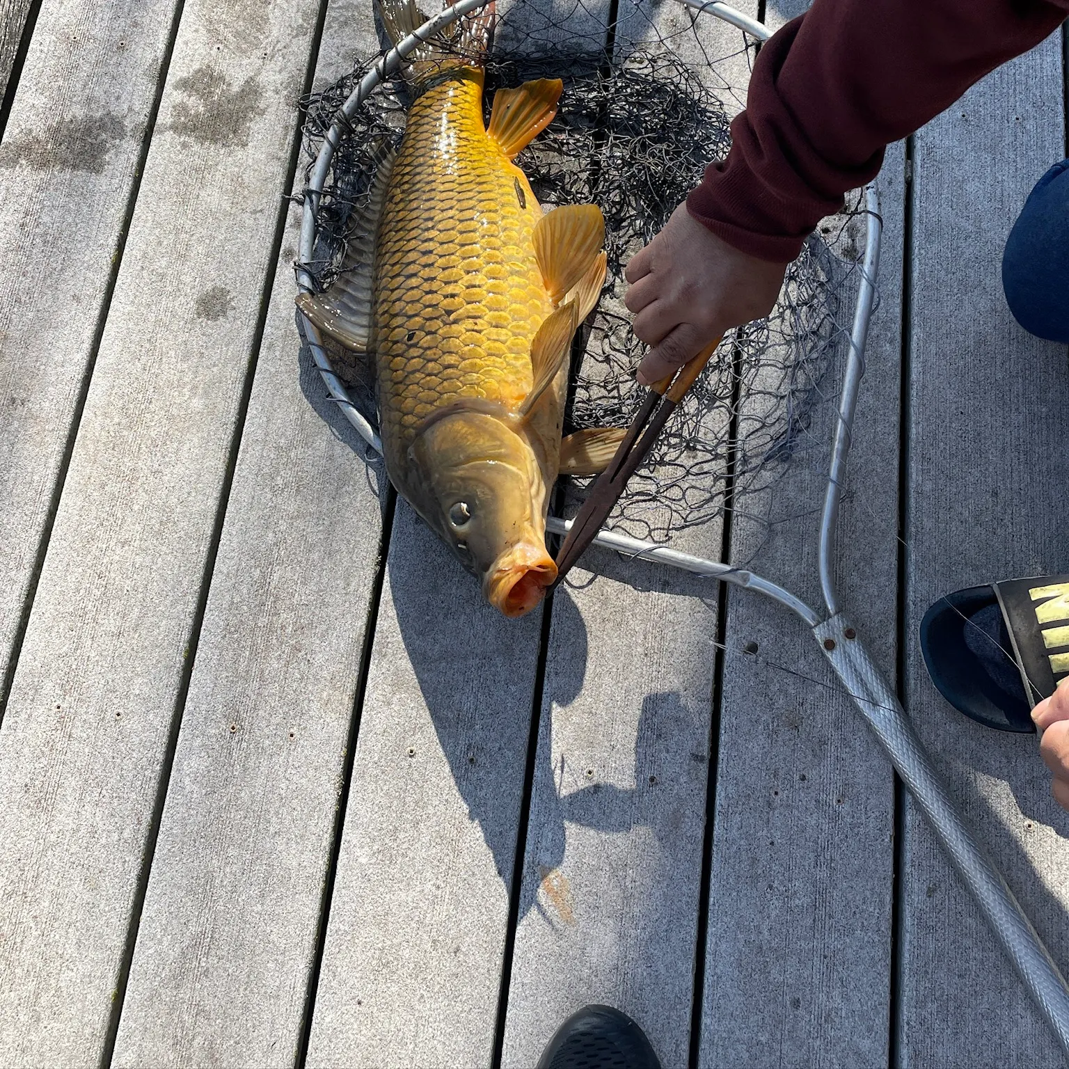 catch