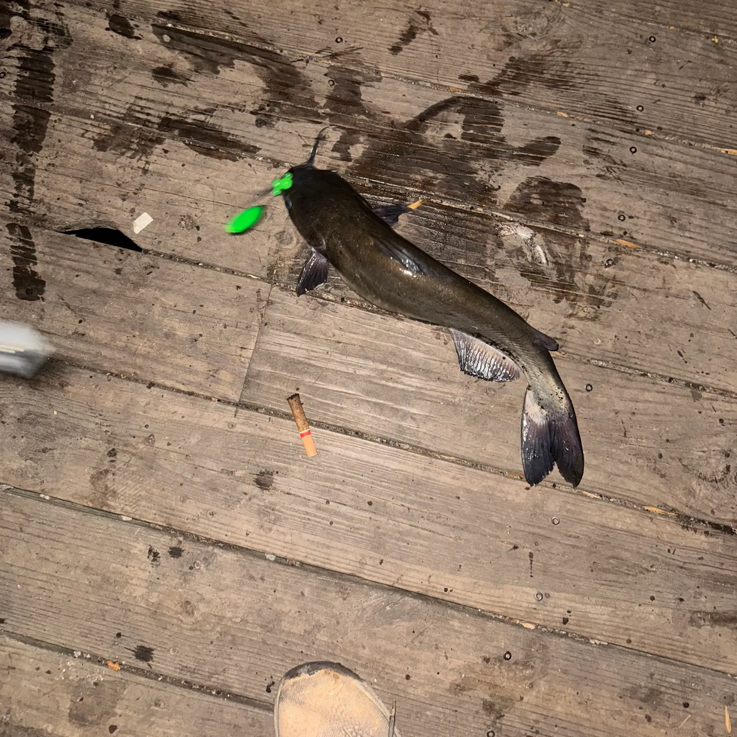 catch