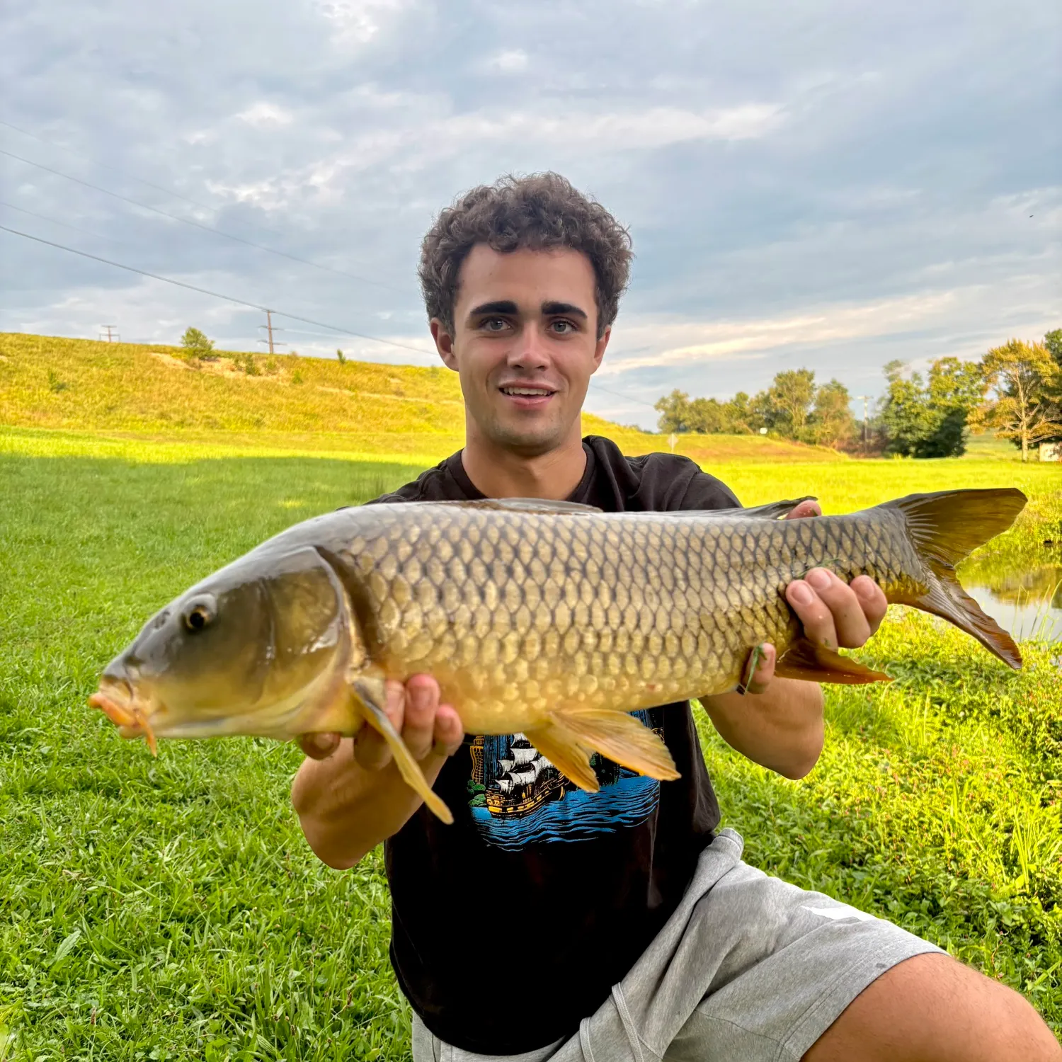 Common carp caught on Fishbrain