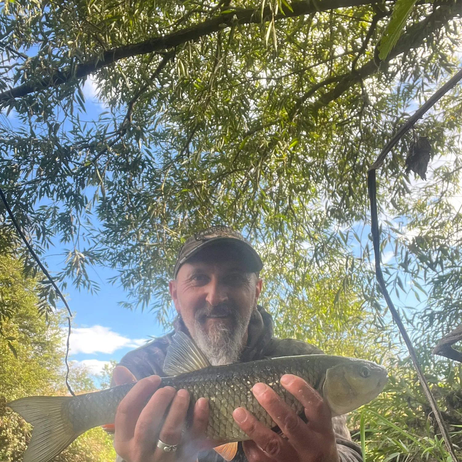 European chub caught on Fishbrain