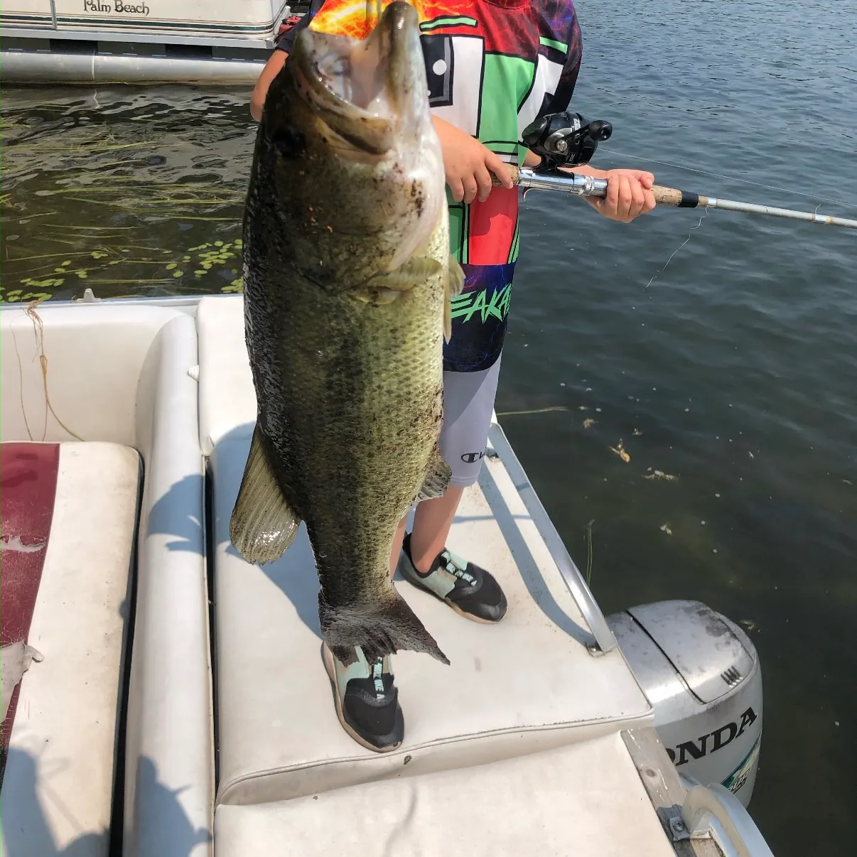 Largemouth bass caught on Fishbrain