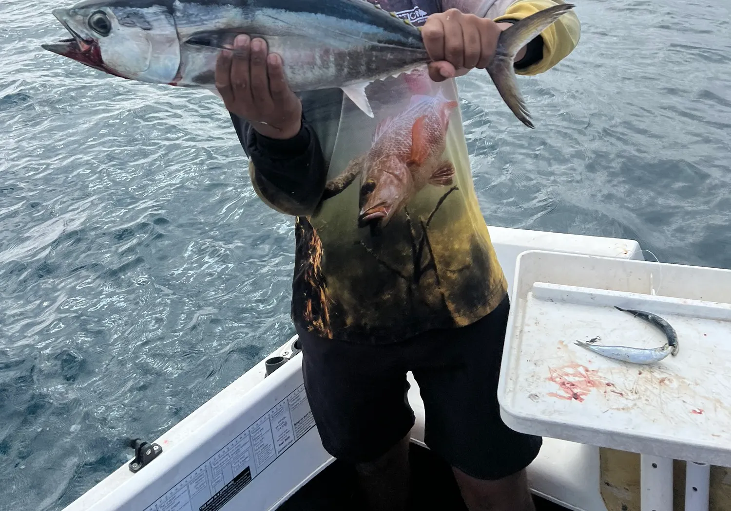 Southern bluefin tuna