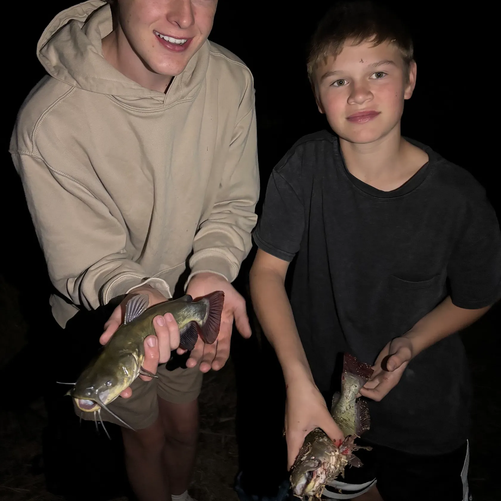 Yellow bullhead caught on Fishbrain