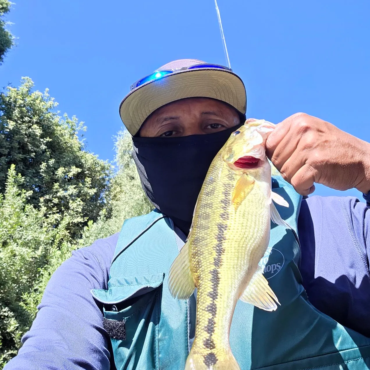 Spotted bass caught on Fishbrain