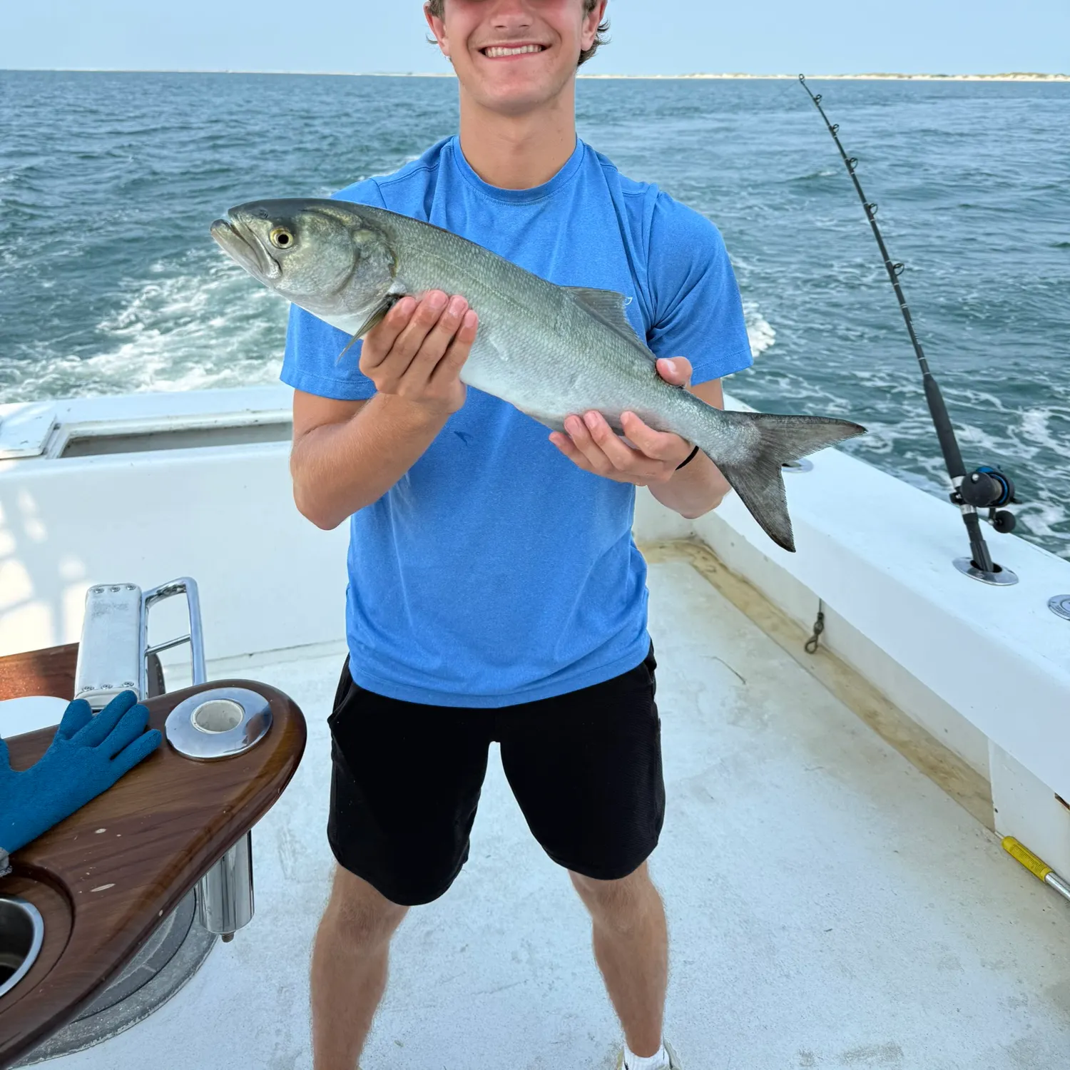 The most recent Bluefish catches on Fishbrain
