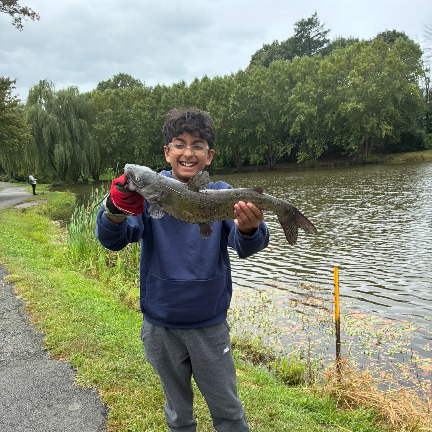 Channel catfish caught on Fishbrain