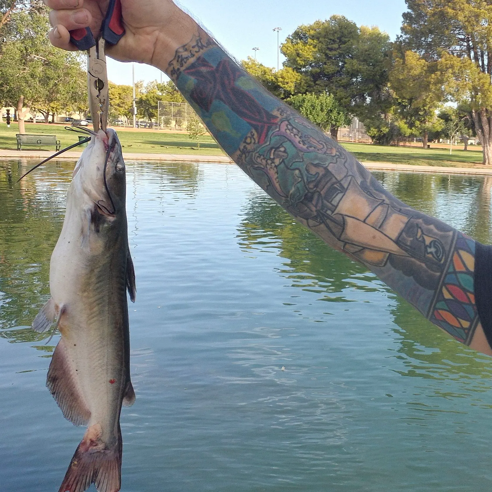 catch