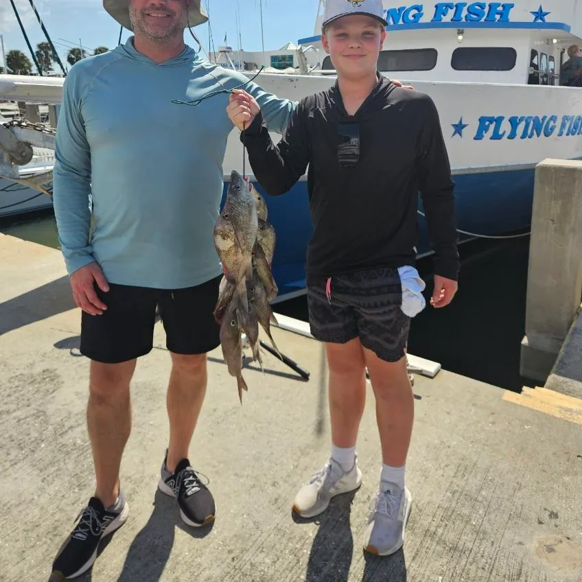 White grunt caught on Fishbrain