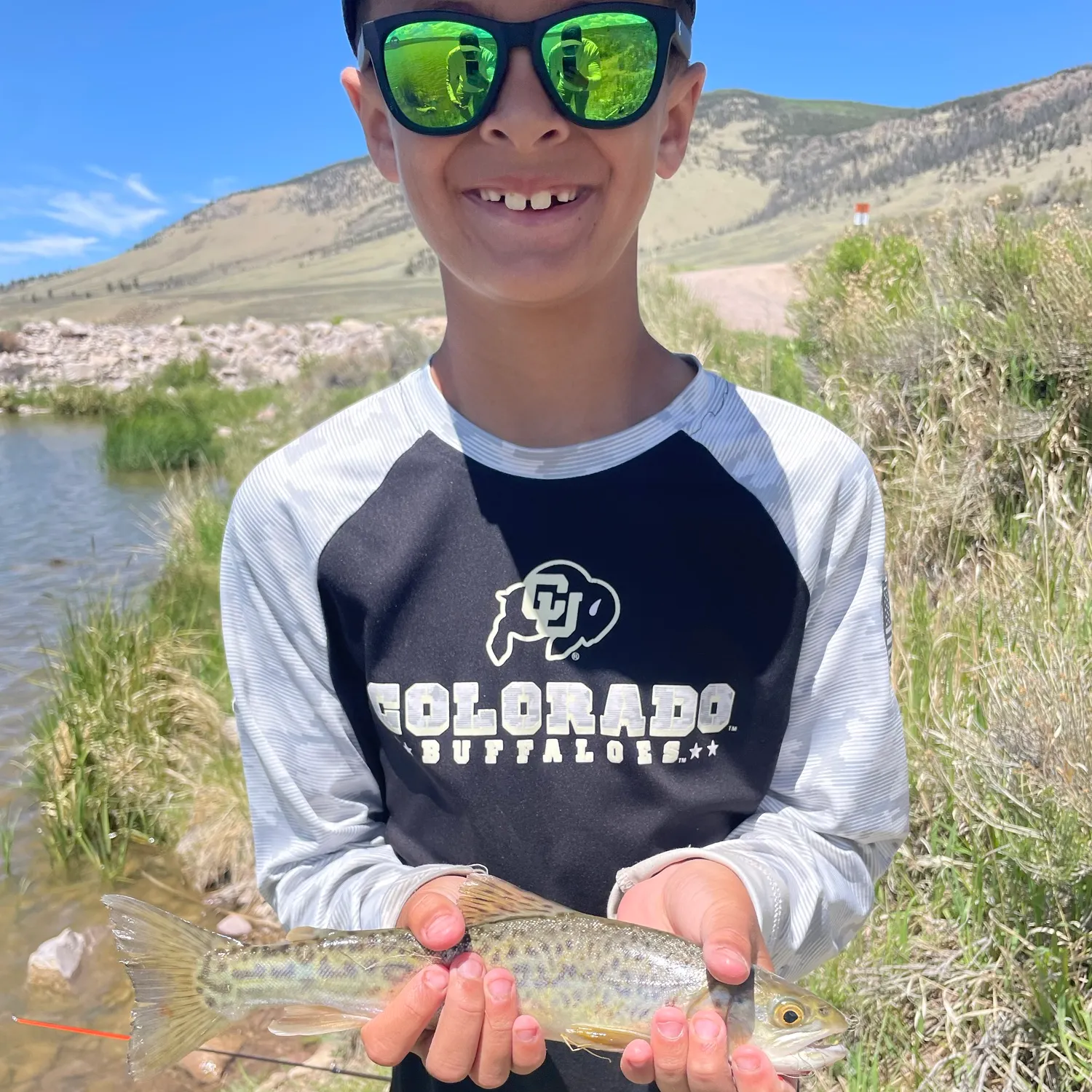 Tiger trout caught on Fishbrain
