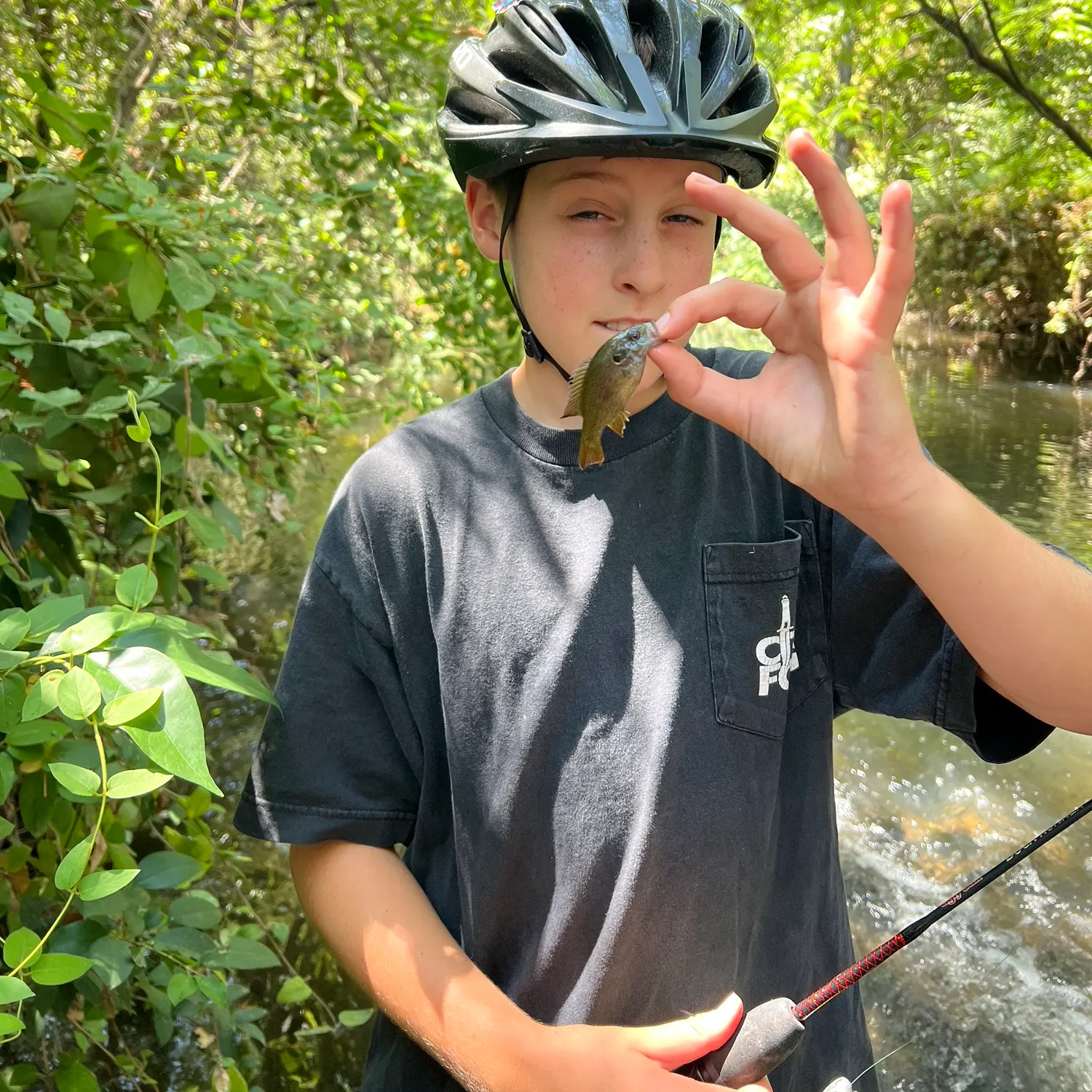 Bluegill caught on Fishbrain