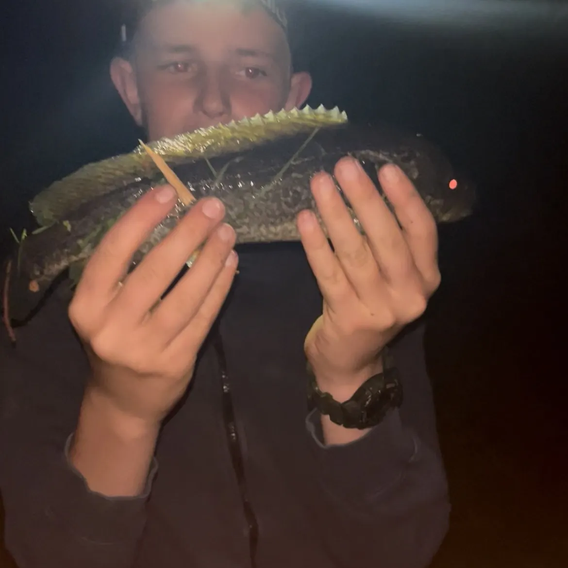 The most recent River blackfish catches on Fishbrain