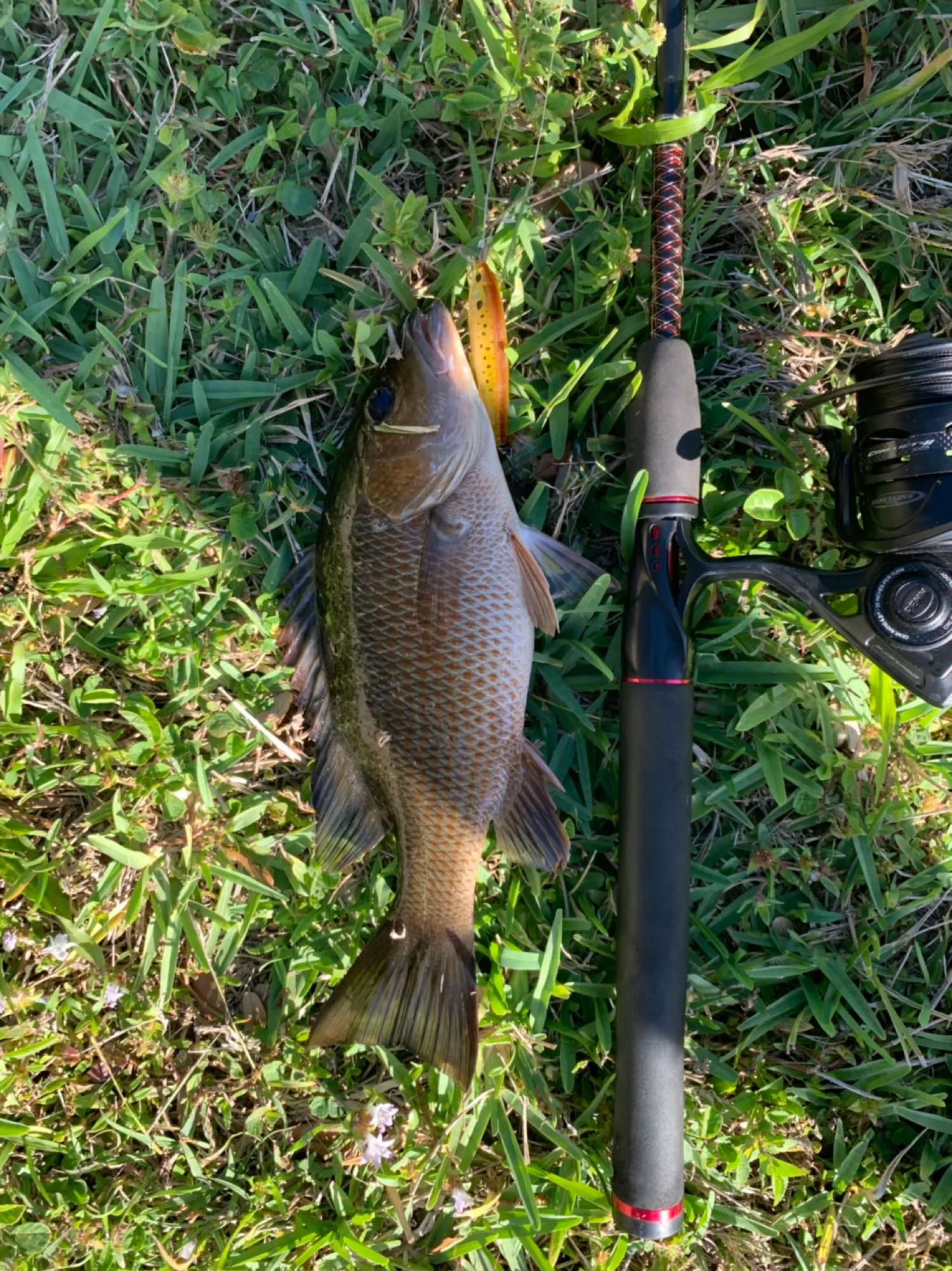 Post image from YourAverageAngler