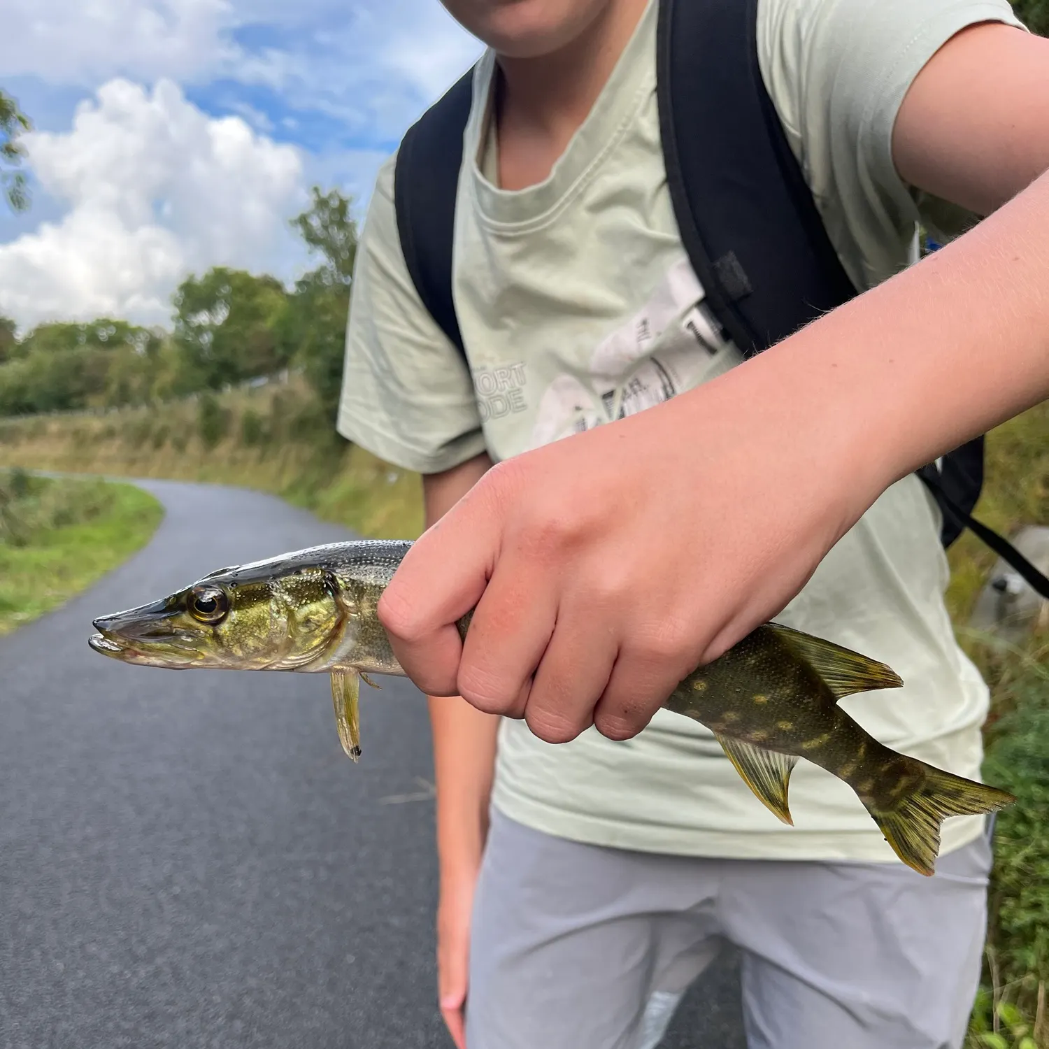 catch