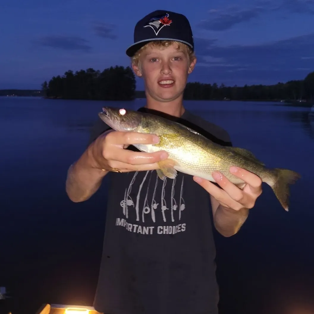 angler catch