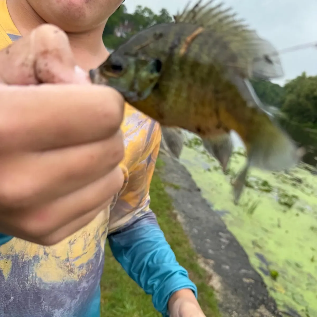 catch