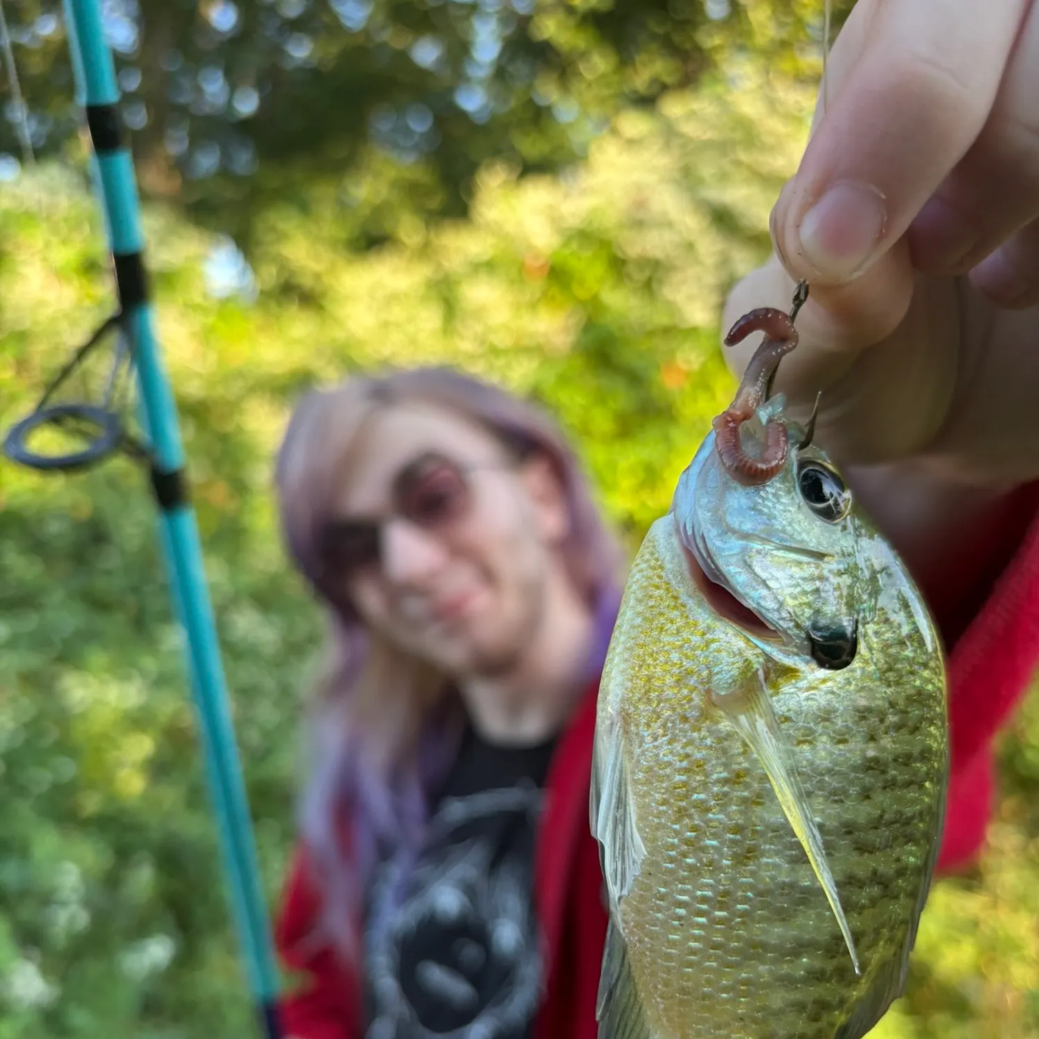 Bluegill caught on Fishbrain