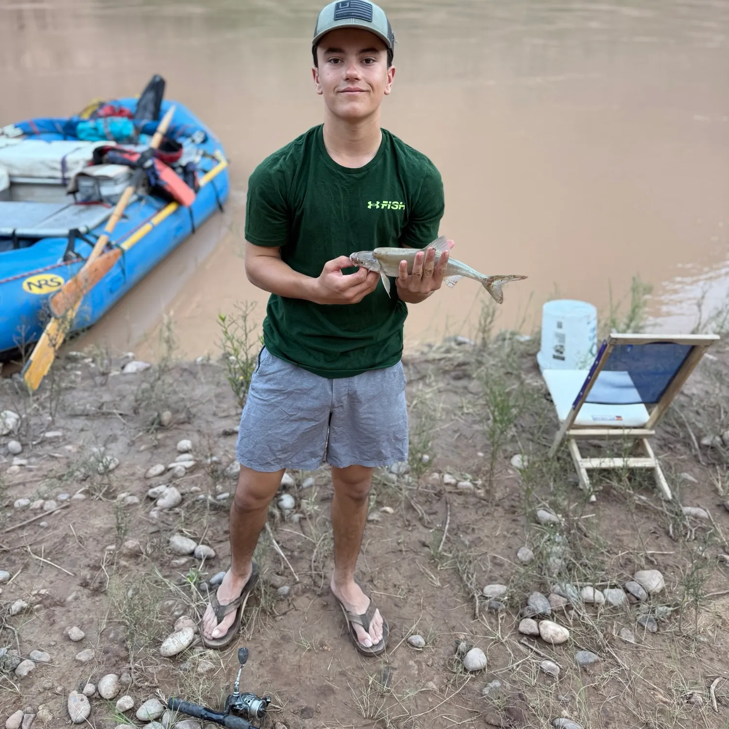 The most recent Humpback chub catches on Fishbrain
