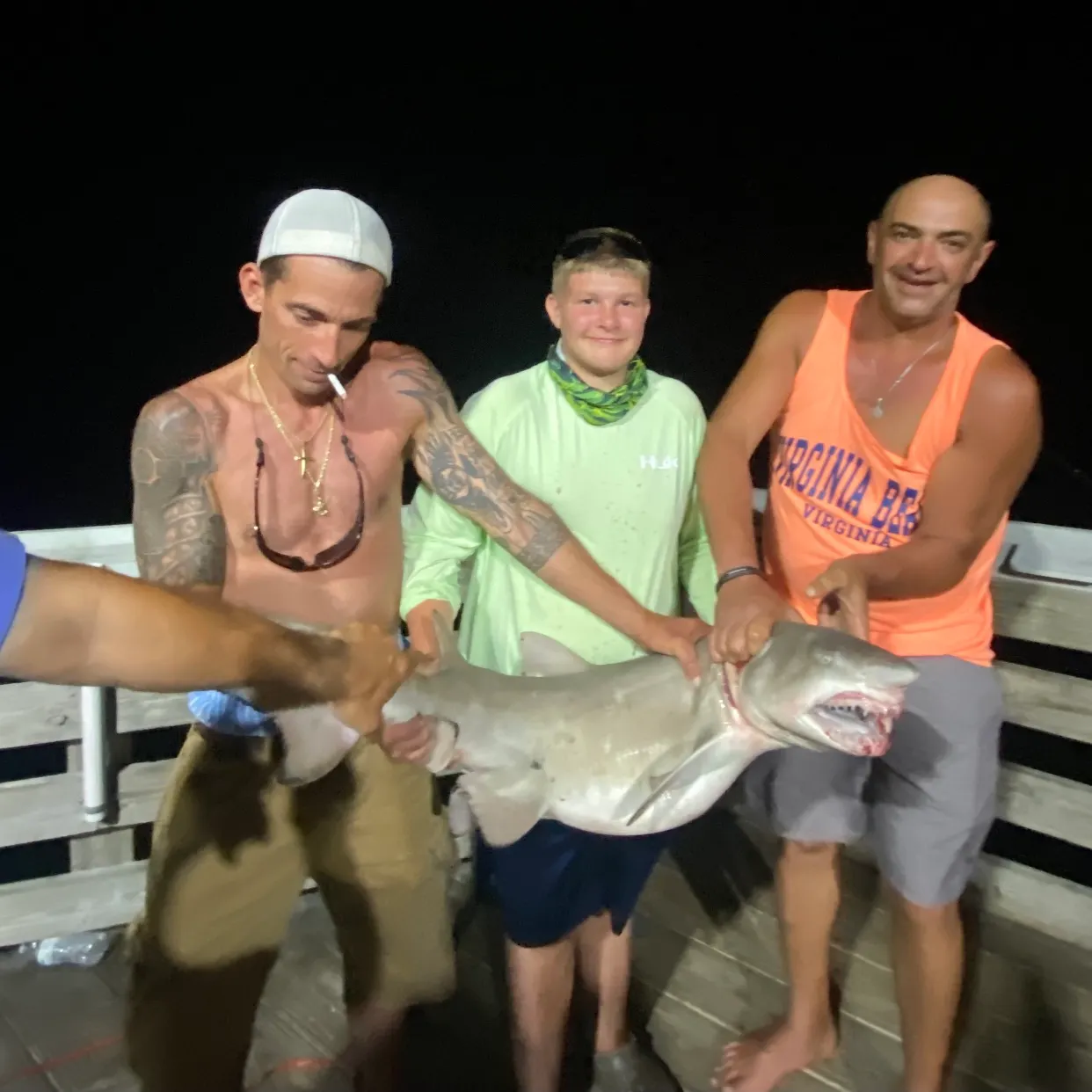 The most recent Sand tiger shark catches on Fishbrain