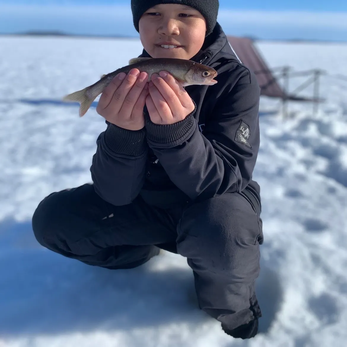 The most recent Arctic char catches on Fishbrain