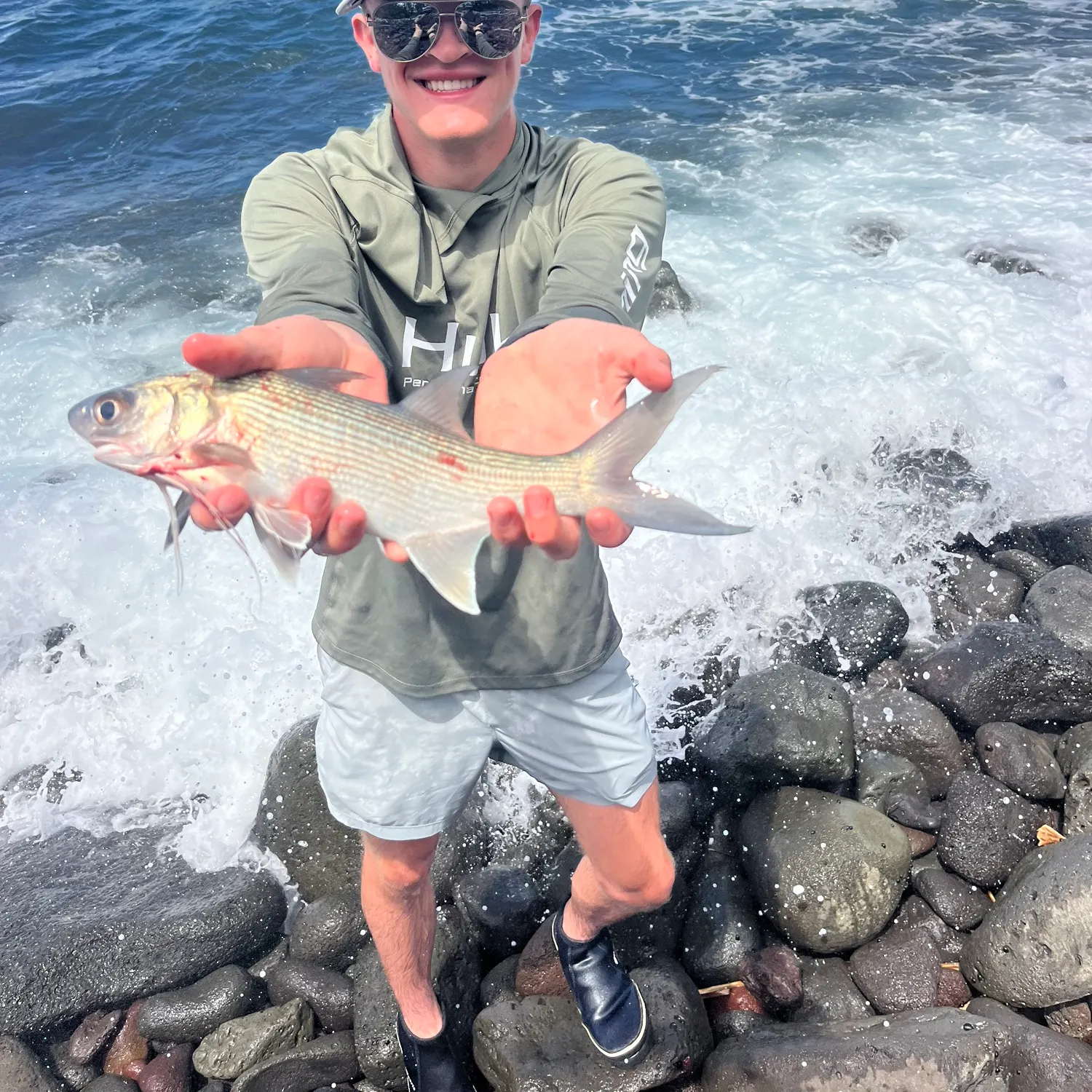 The most recent Sixfinger threadfin catches on Fishbrain