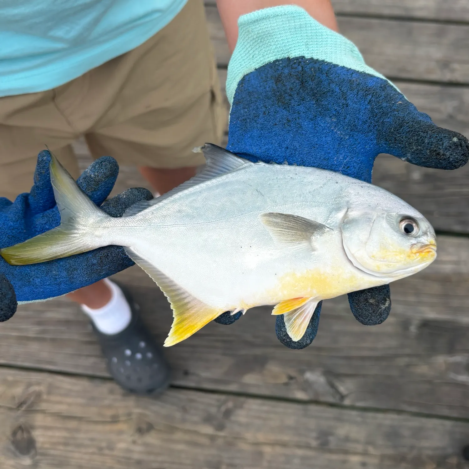The most recent Florida pompano catches on Fishbrain