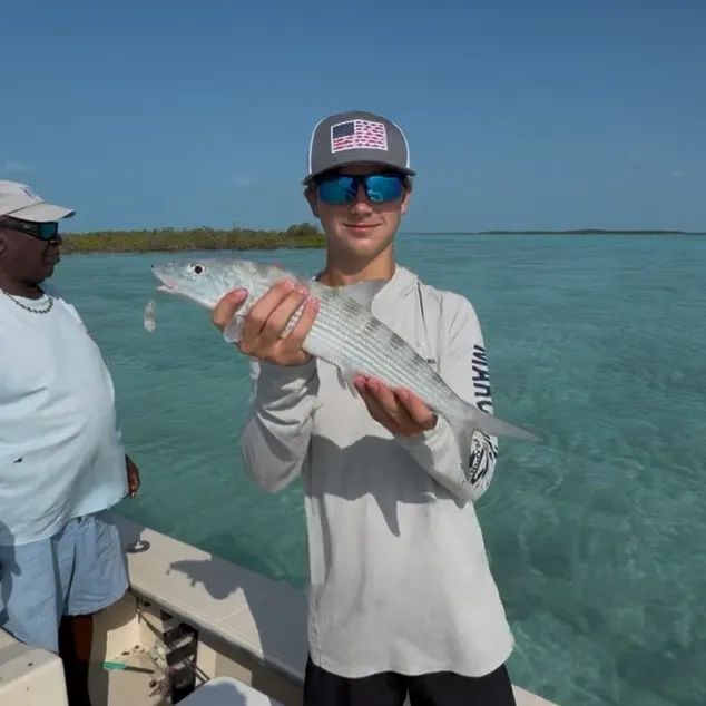 The most recent West Atlantic bonefish catches on Fishbrain