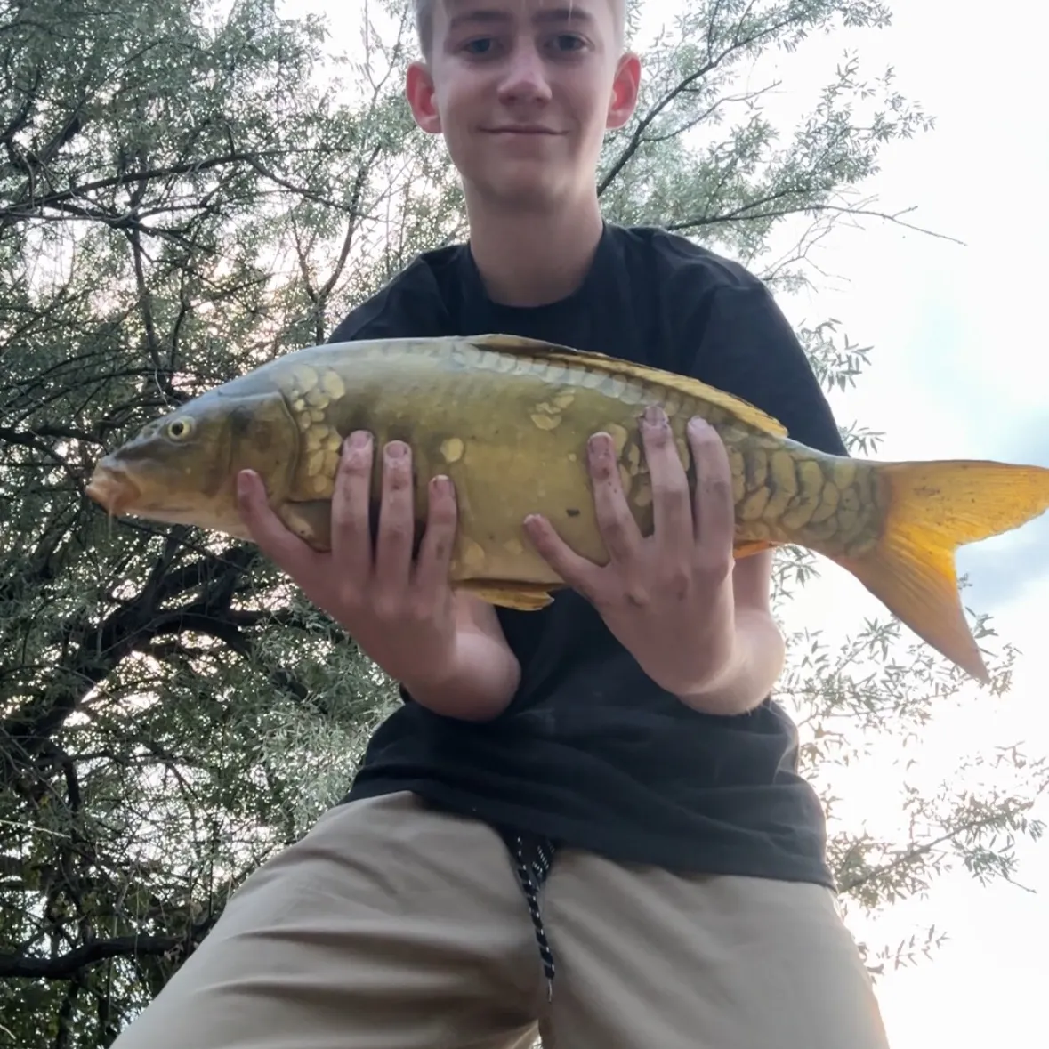 Mirror carp caught on Fishbrain