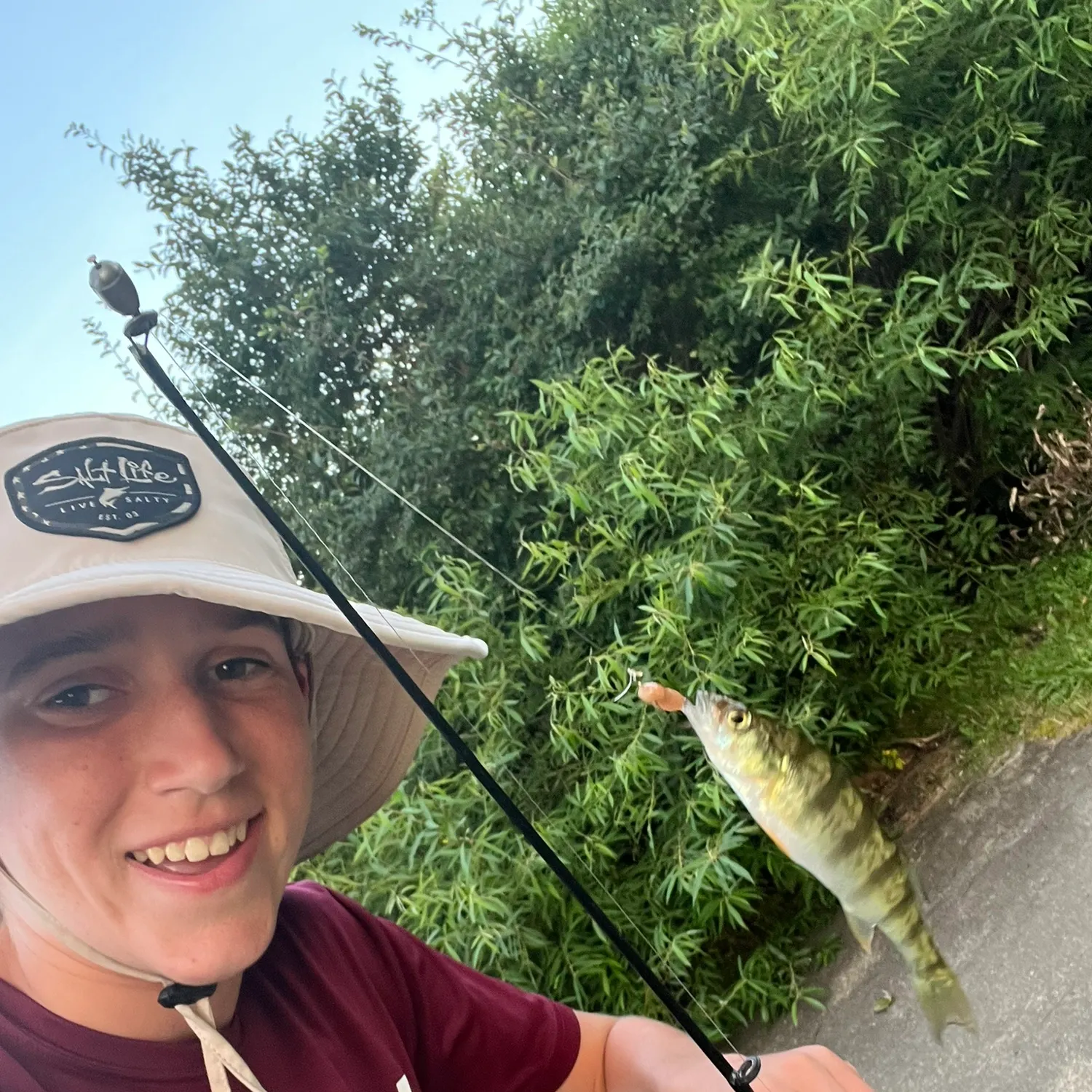 recently logged catches