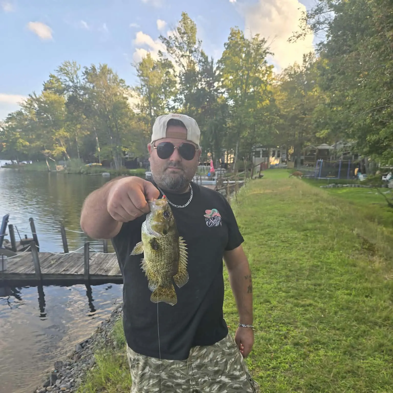 Rock bass caught on Fishbrain