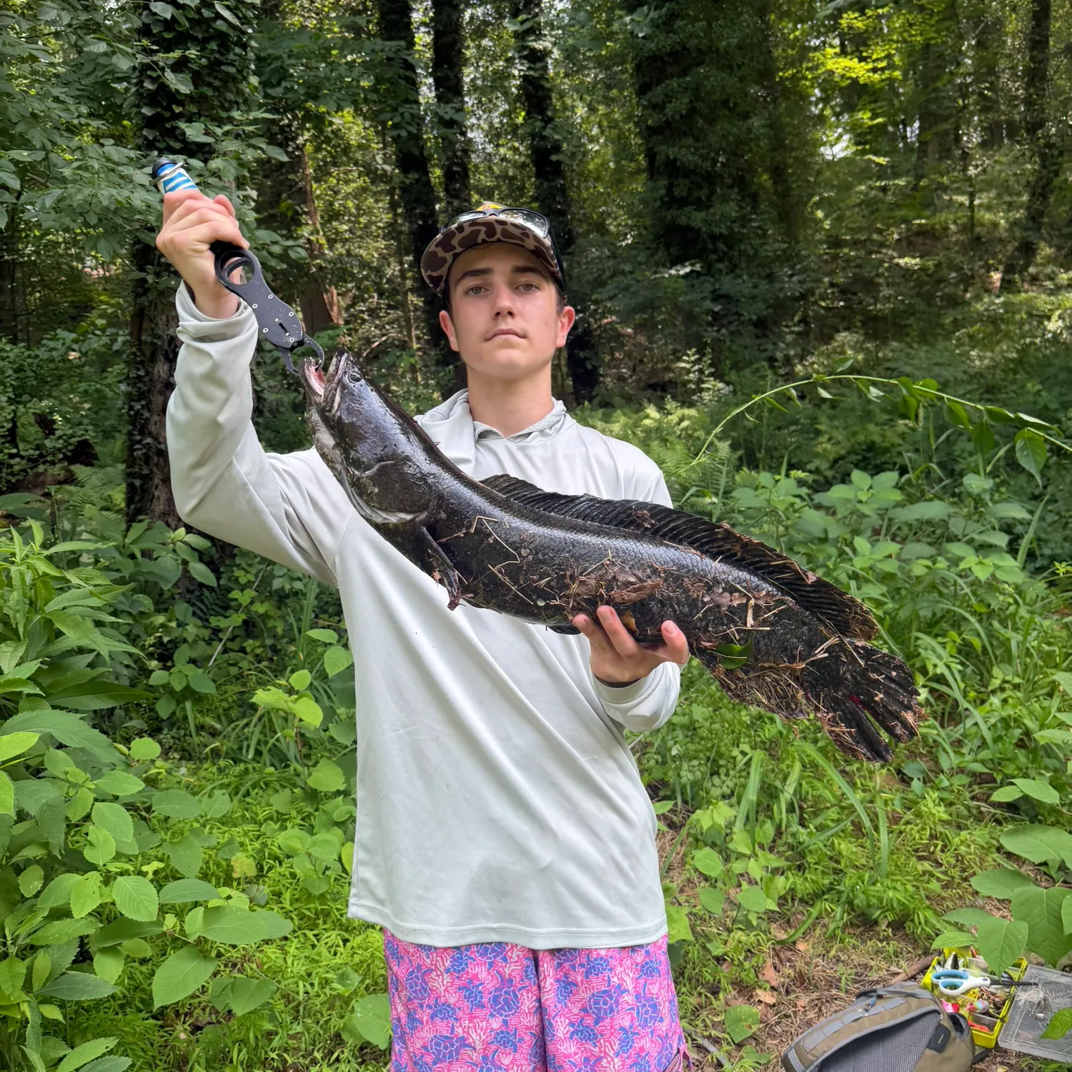 The most recent Northern snakehead catches on Fishbrain