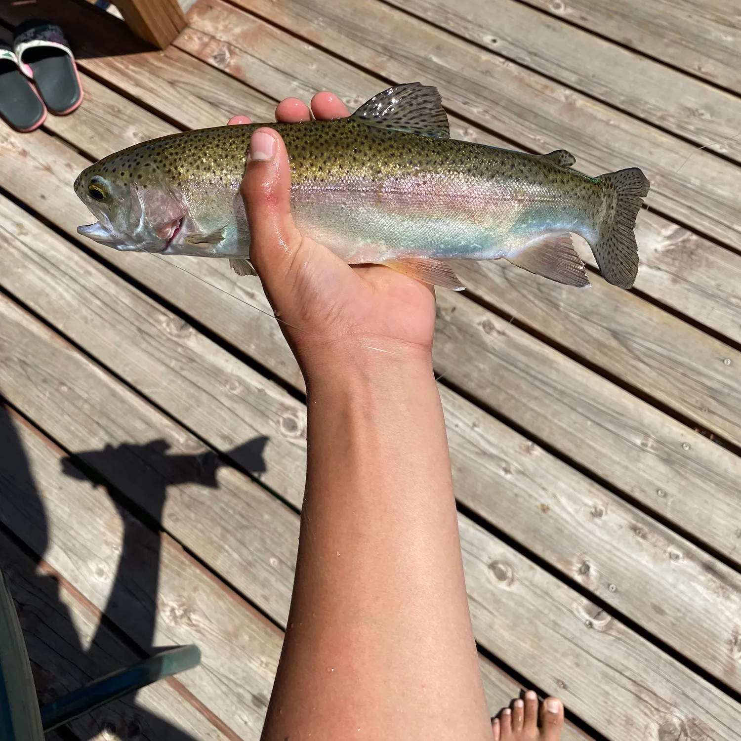 angler catch