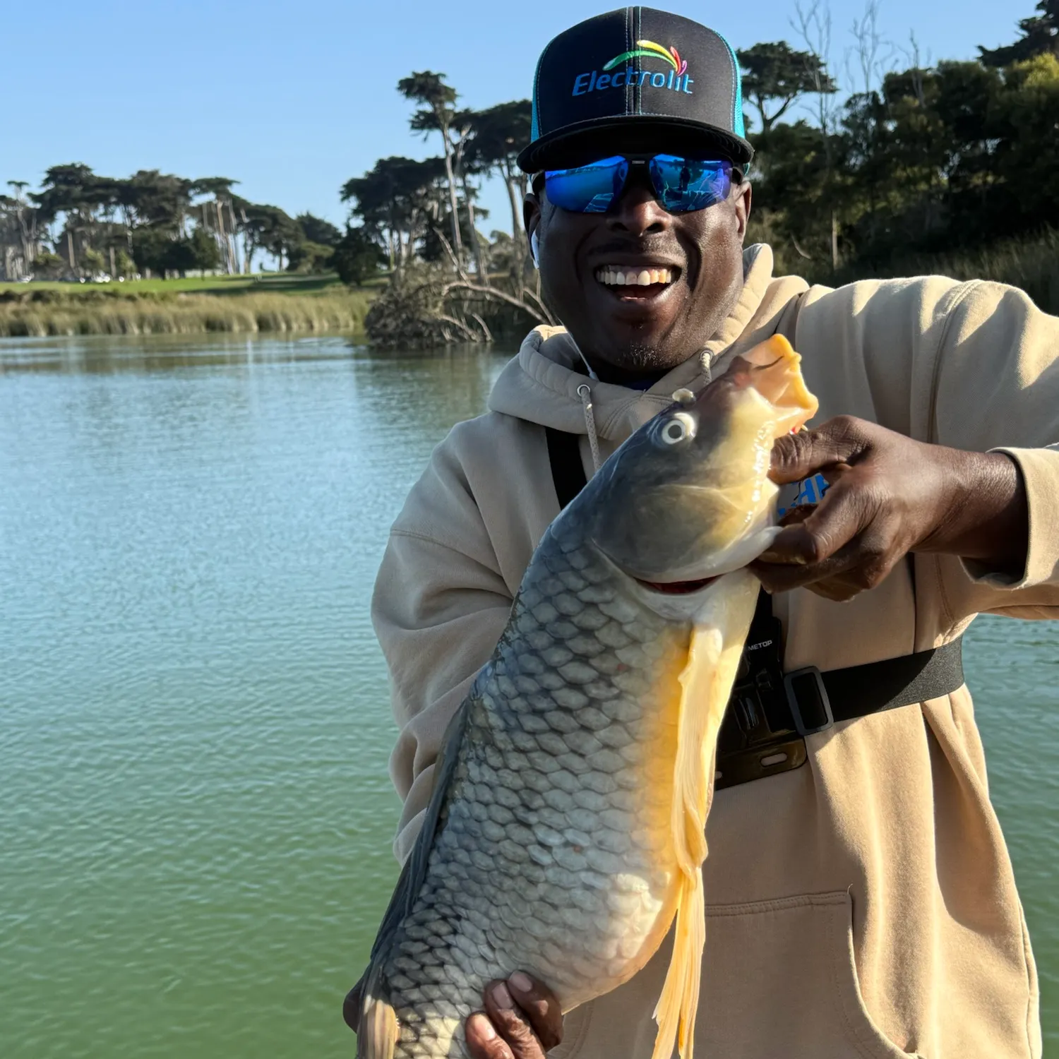 Common carp caught on Fishbrain