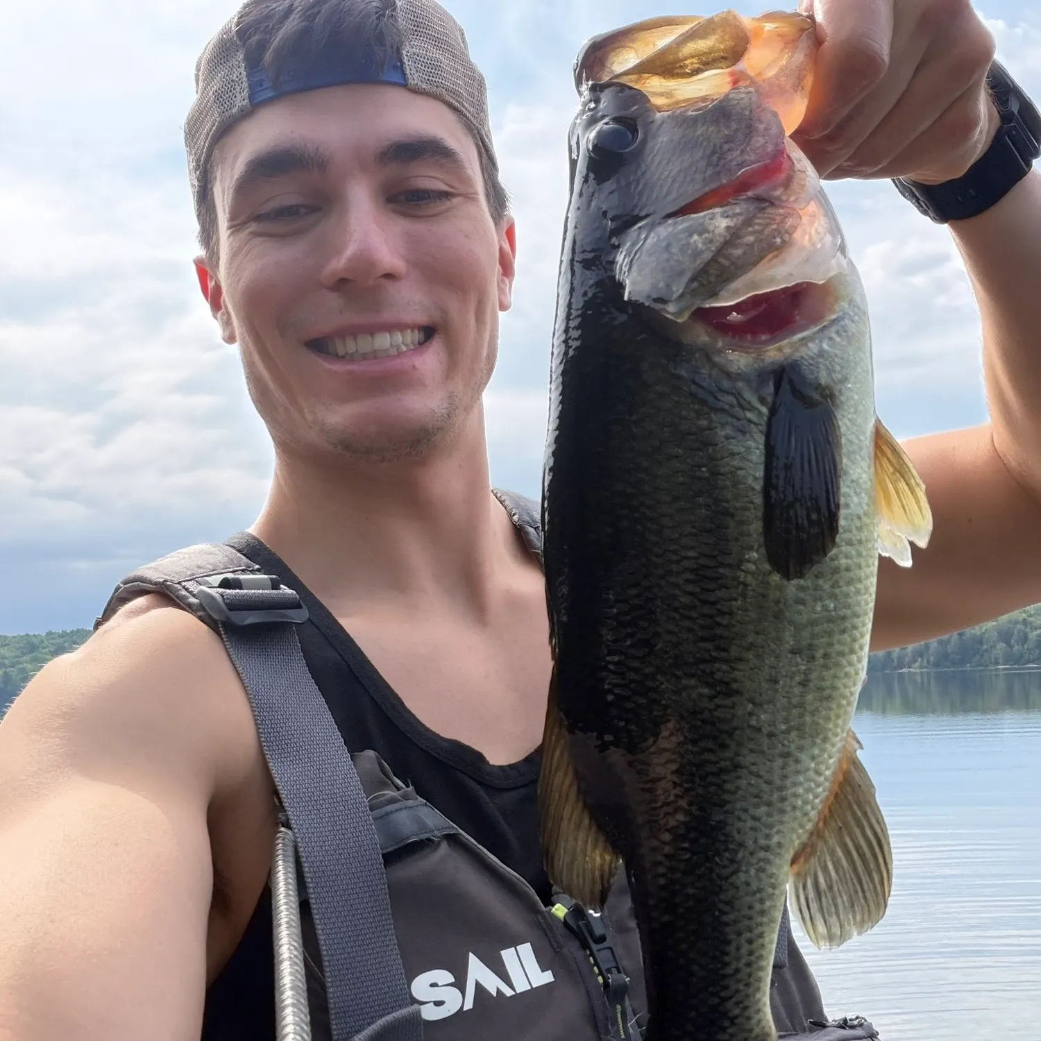 Largemouth bass caught on Fishbrain