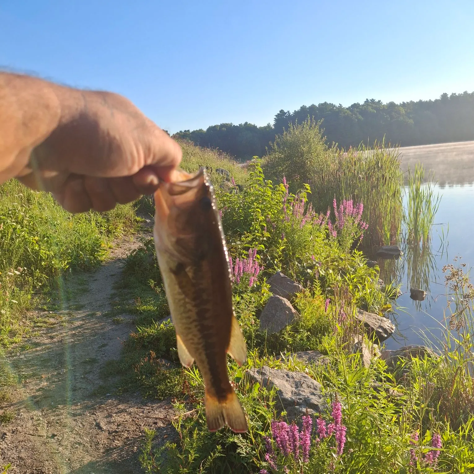 catch